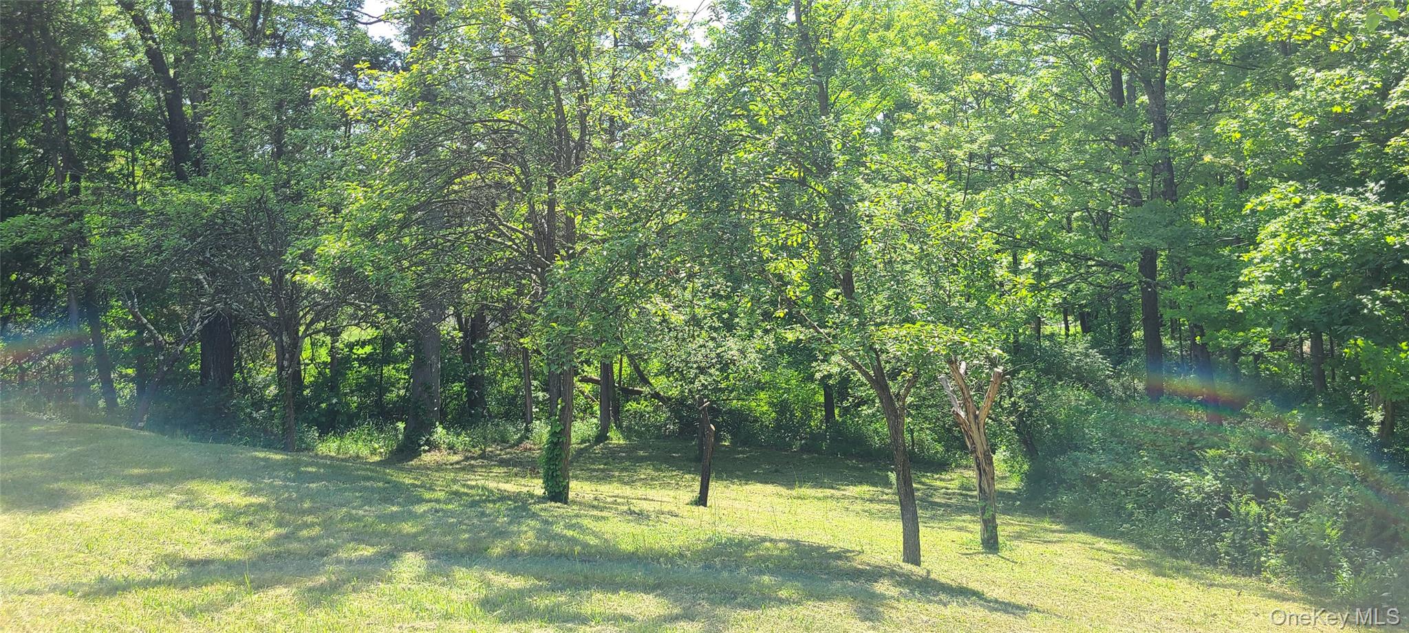 71-79 Dashville Road, New Paltz, NY 12561