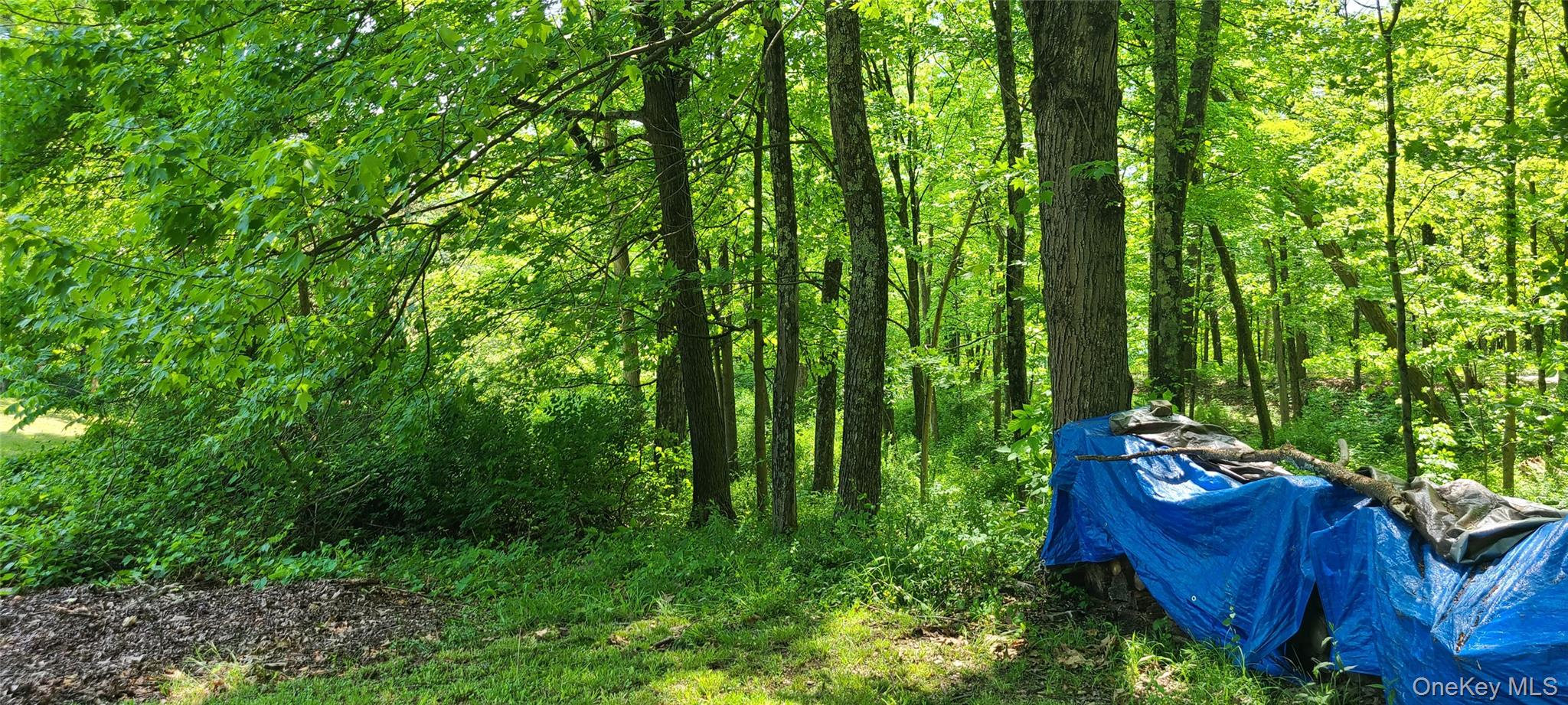 71-79 Dashville Road, New Paltz, NY 12561