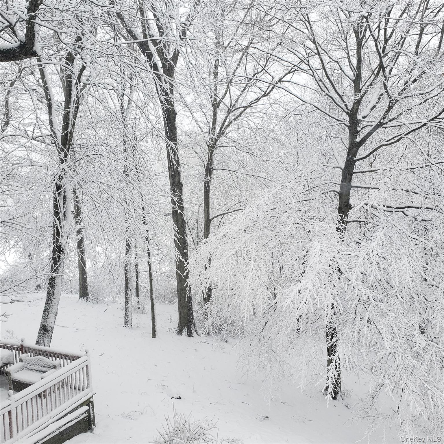 673 Pelham Road # E14, New Rochelle, NY 10805