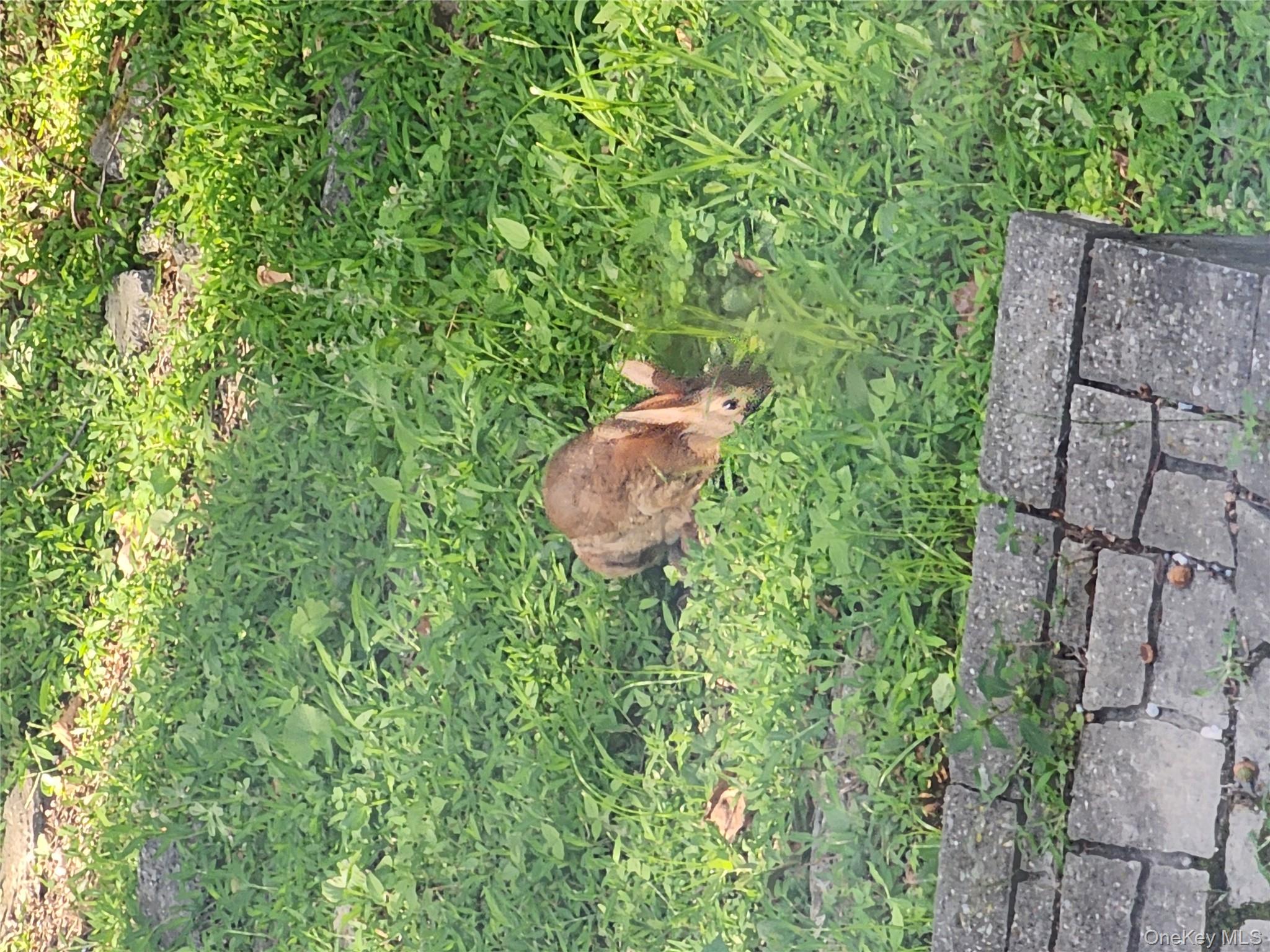 673 Pelham Road # E14, New Rochelle, NY 10805