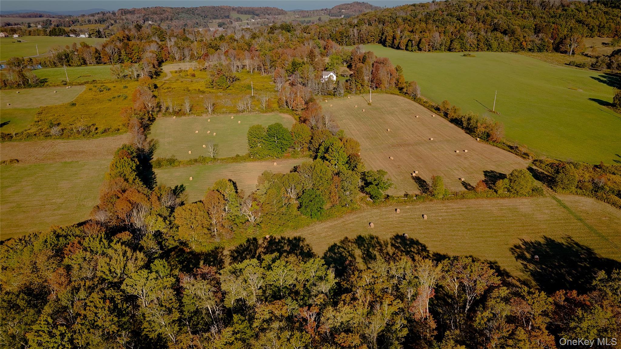 118 Villa Roma Road, Jeffersonville, NY 12723