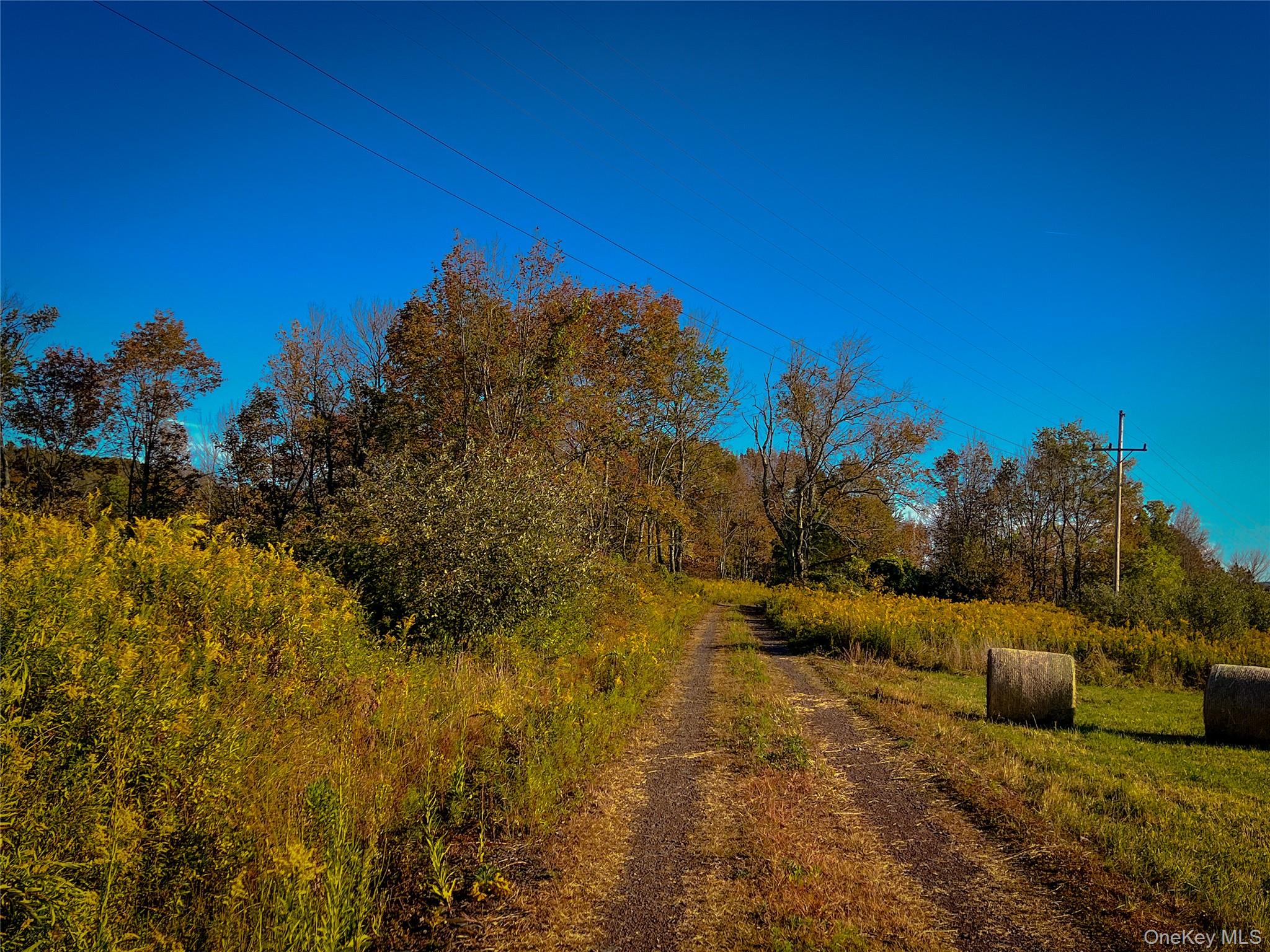 118 Villa Roma Road, Jeffersonville, NY 12723