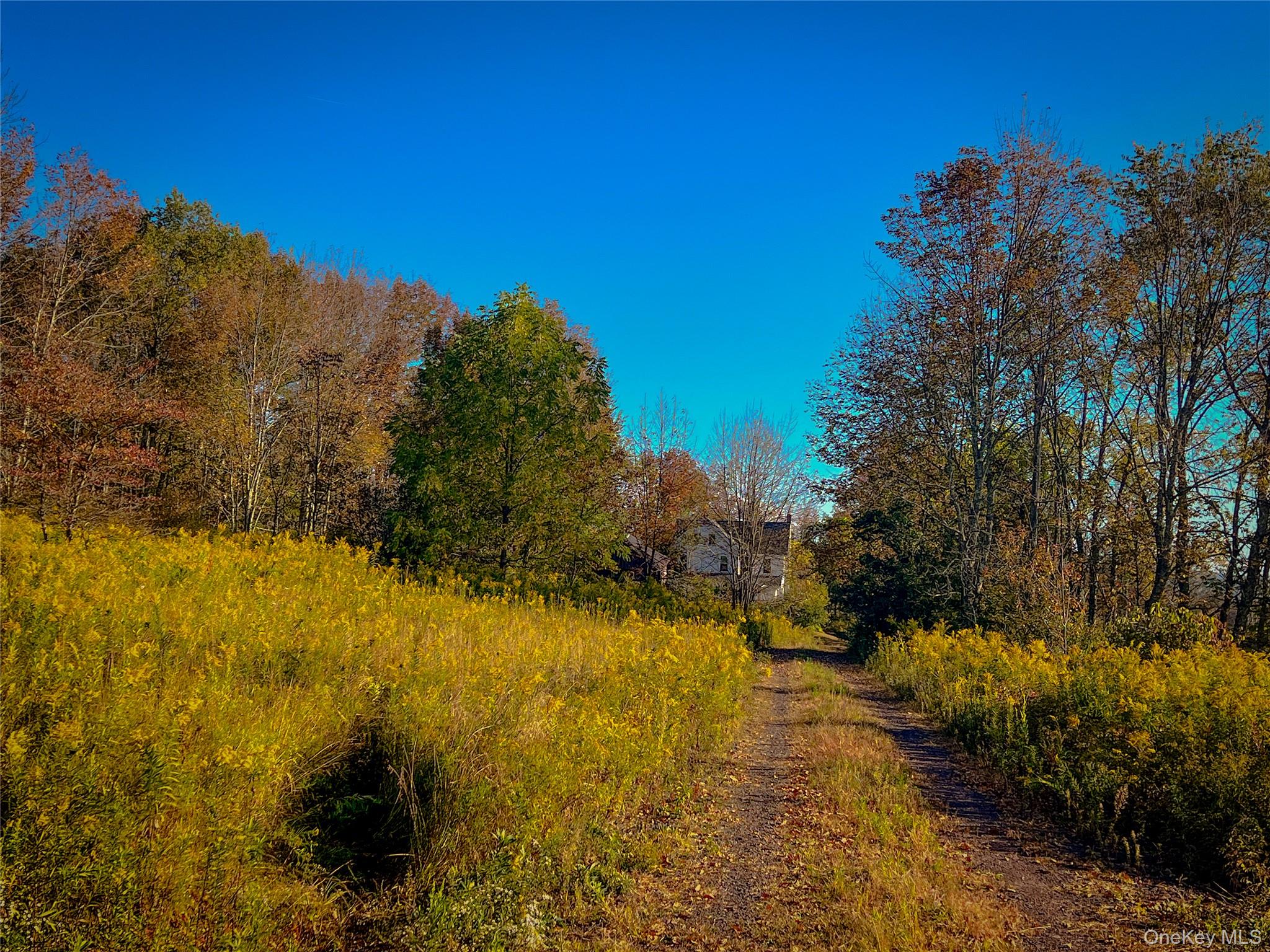 118 Villa Roma Road, Jeffersonville, NY 12723