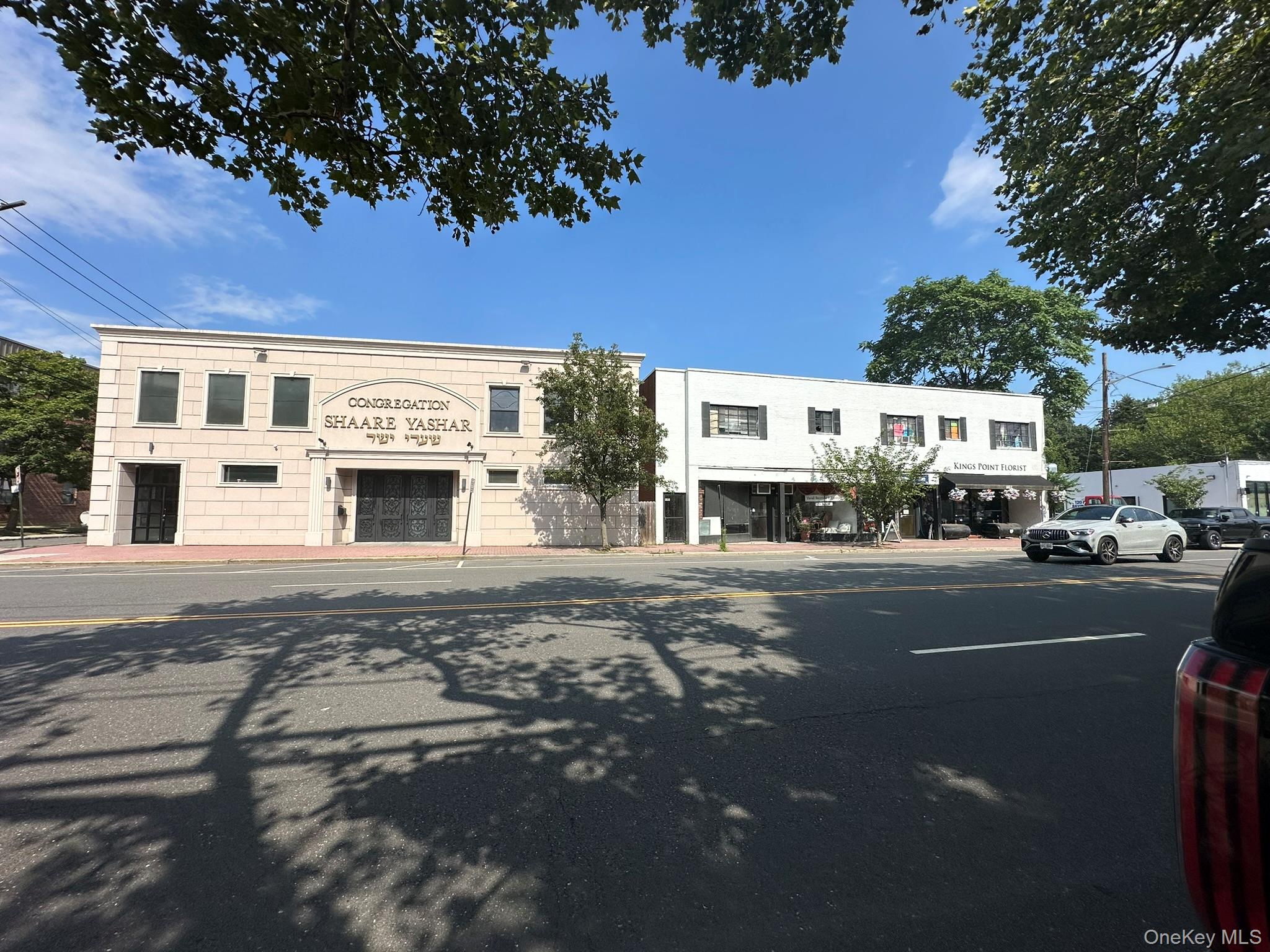 803/805/807/809/811 Middle Neck Road, Great Neck, NY 11024