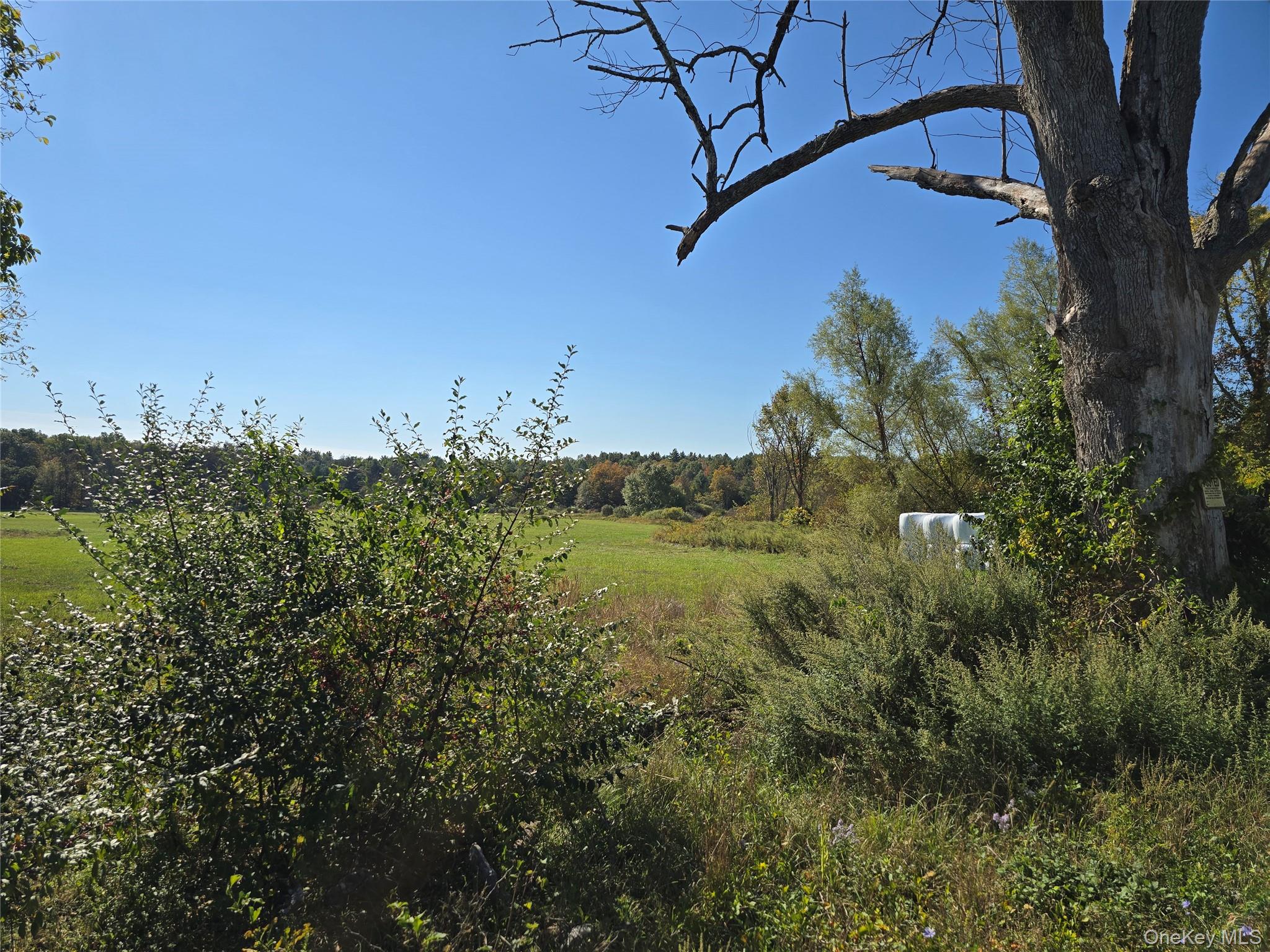 171 Winterton Road, Bloomingburg, NY 12721