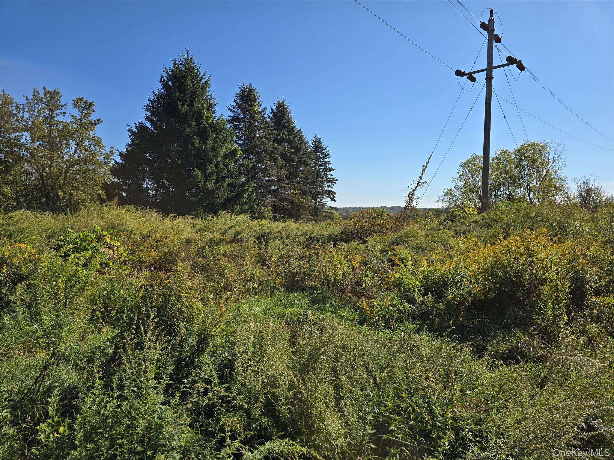 171 Winterton Road, Bloomingburg, NY 12721