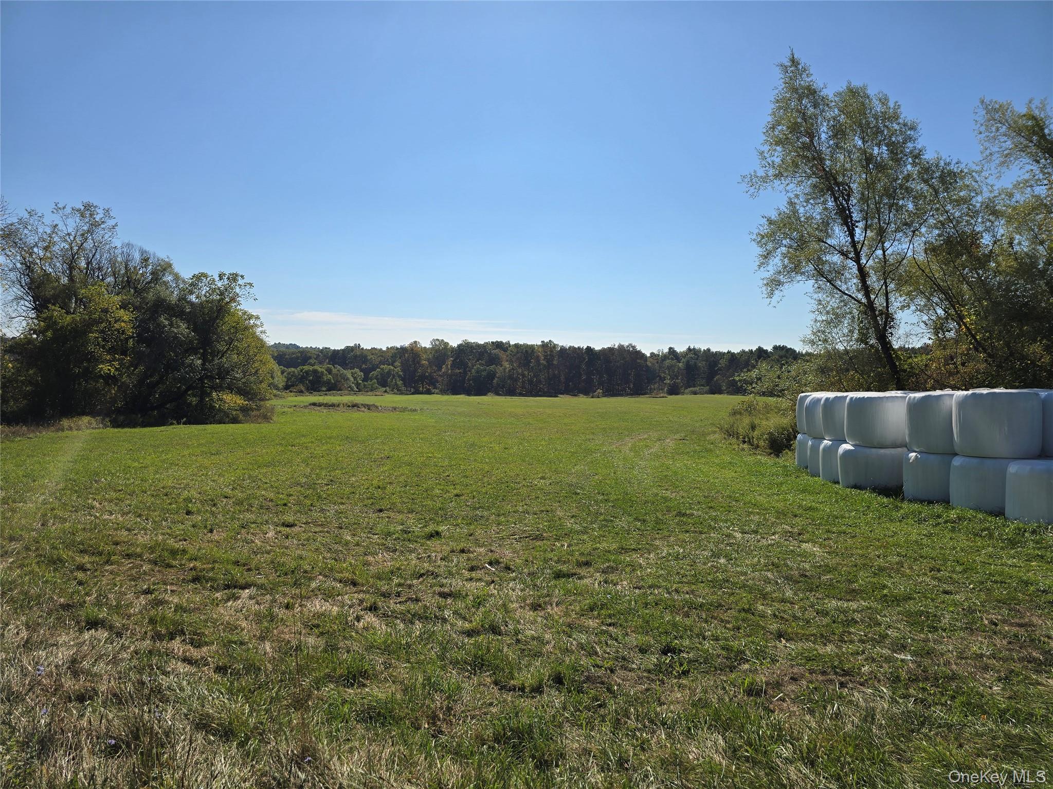 171 Winterton Road, Bloomingburg, NY 12721