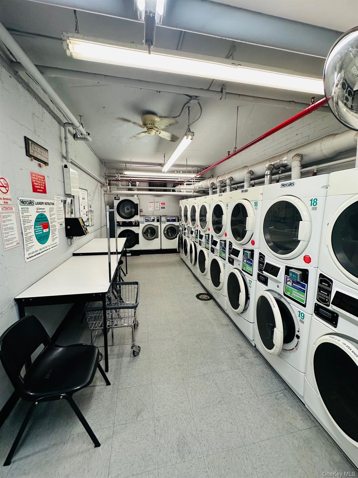 3121 middletown Road # 4K, Bronx, NY 10461