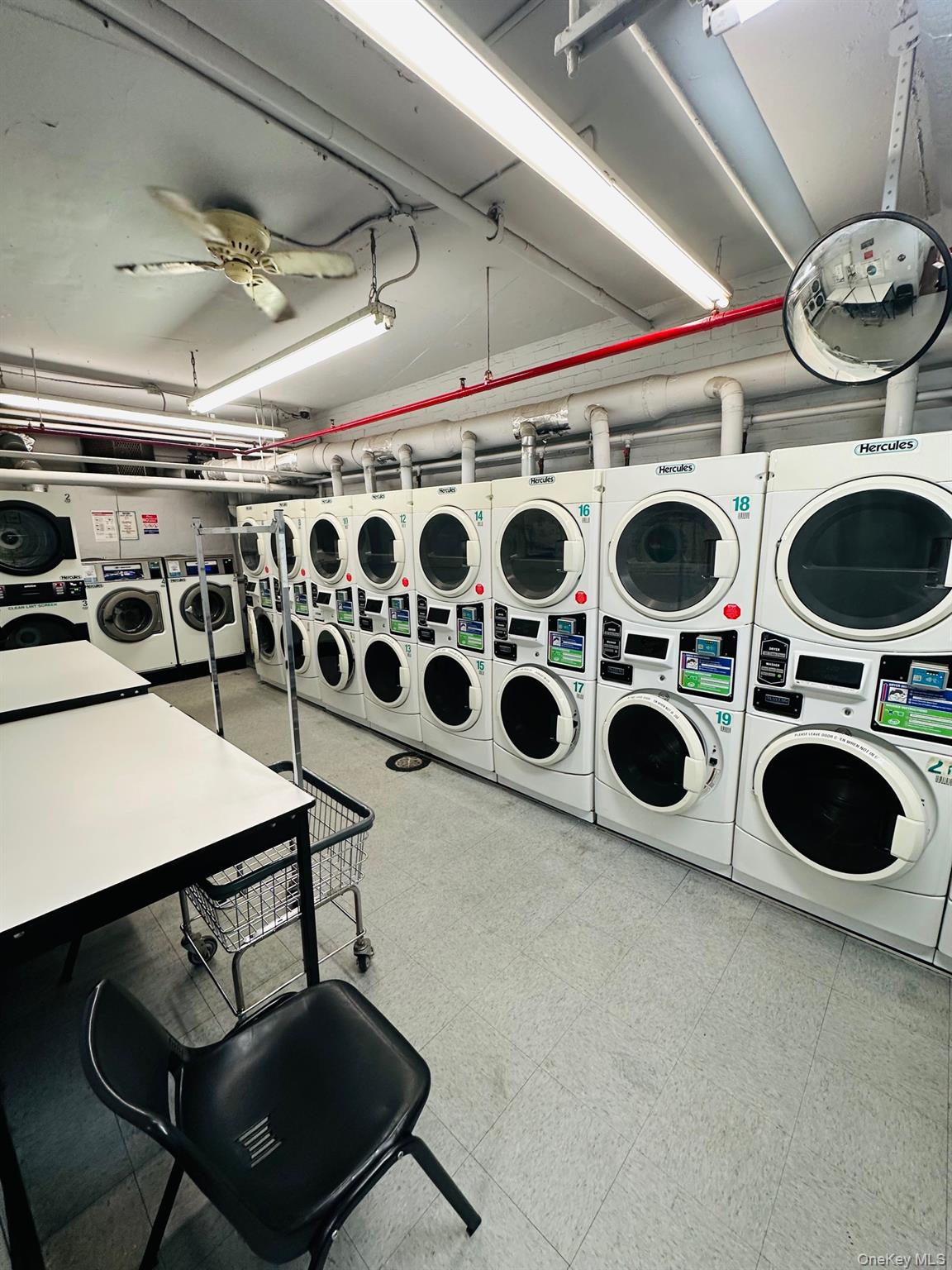 3121 middletown Road # 4K, Bronx, NY 10461