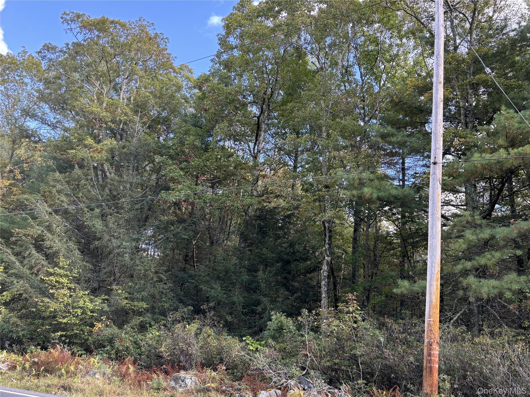 (Lot 14) Crystal Lake Rd, Co Hwy 26, Bethel, NY 12720