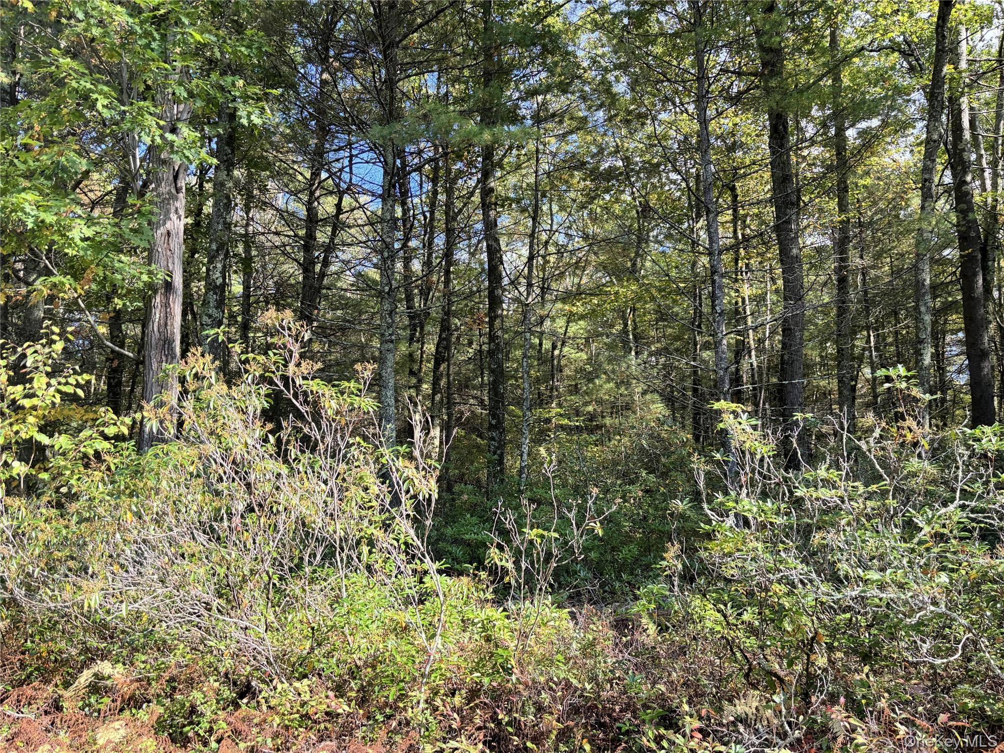 (Lot 14) Crystal Lake Rd, Co Hwy 26, Bethel, NY 12720