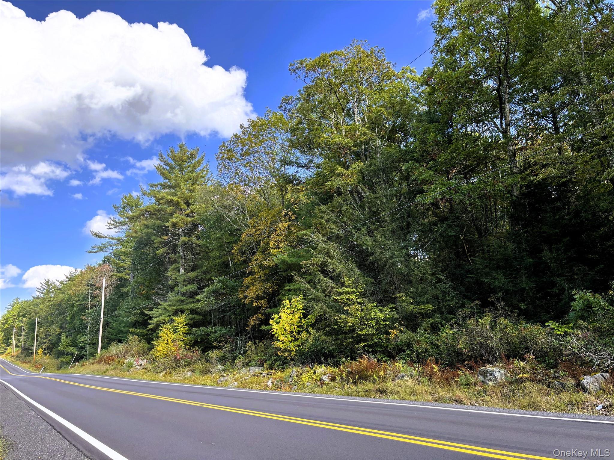 (Lot 14) Crystal Lake Rd, Co Hwy 26, Bethel, NY 12720