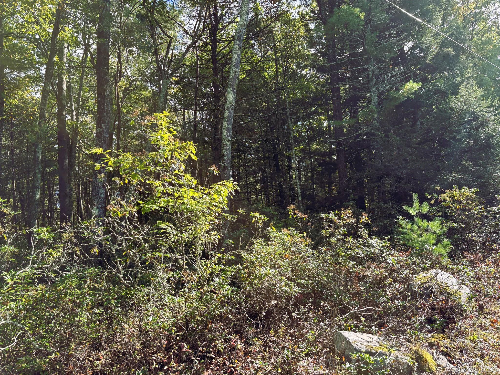 (Lot 14) Crystal Lake Rd, Co Hwy 26, Bethel, NY 12720