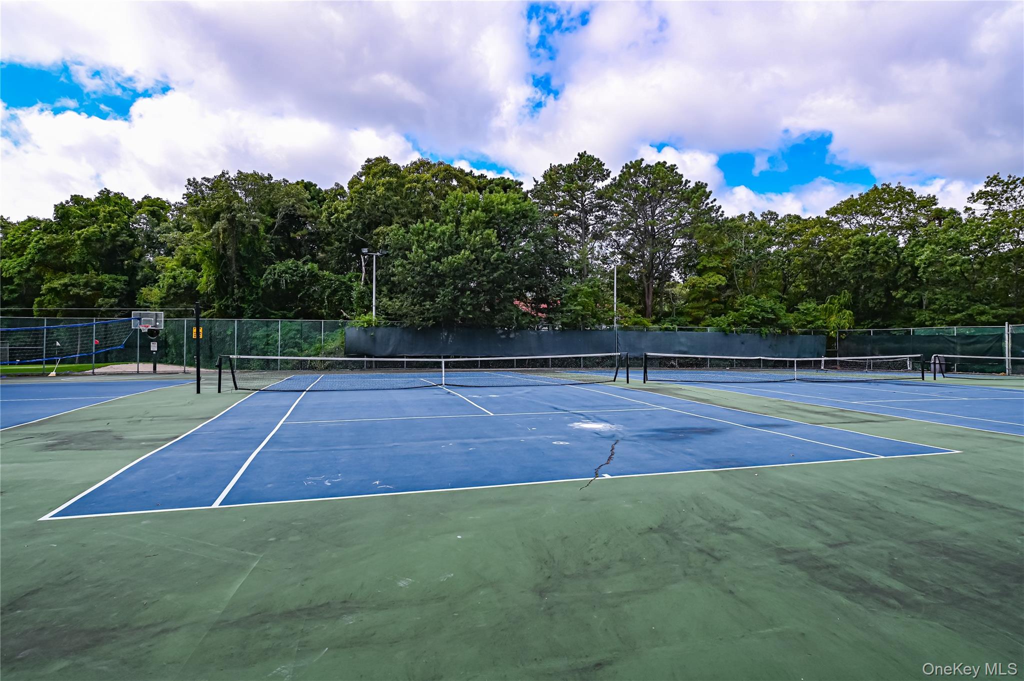 673 Blue Ridge Drive, Medford, NY 11763