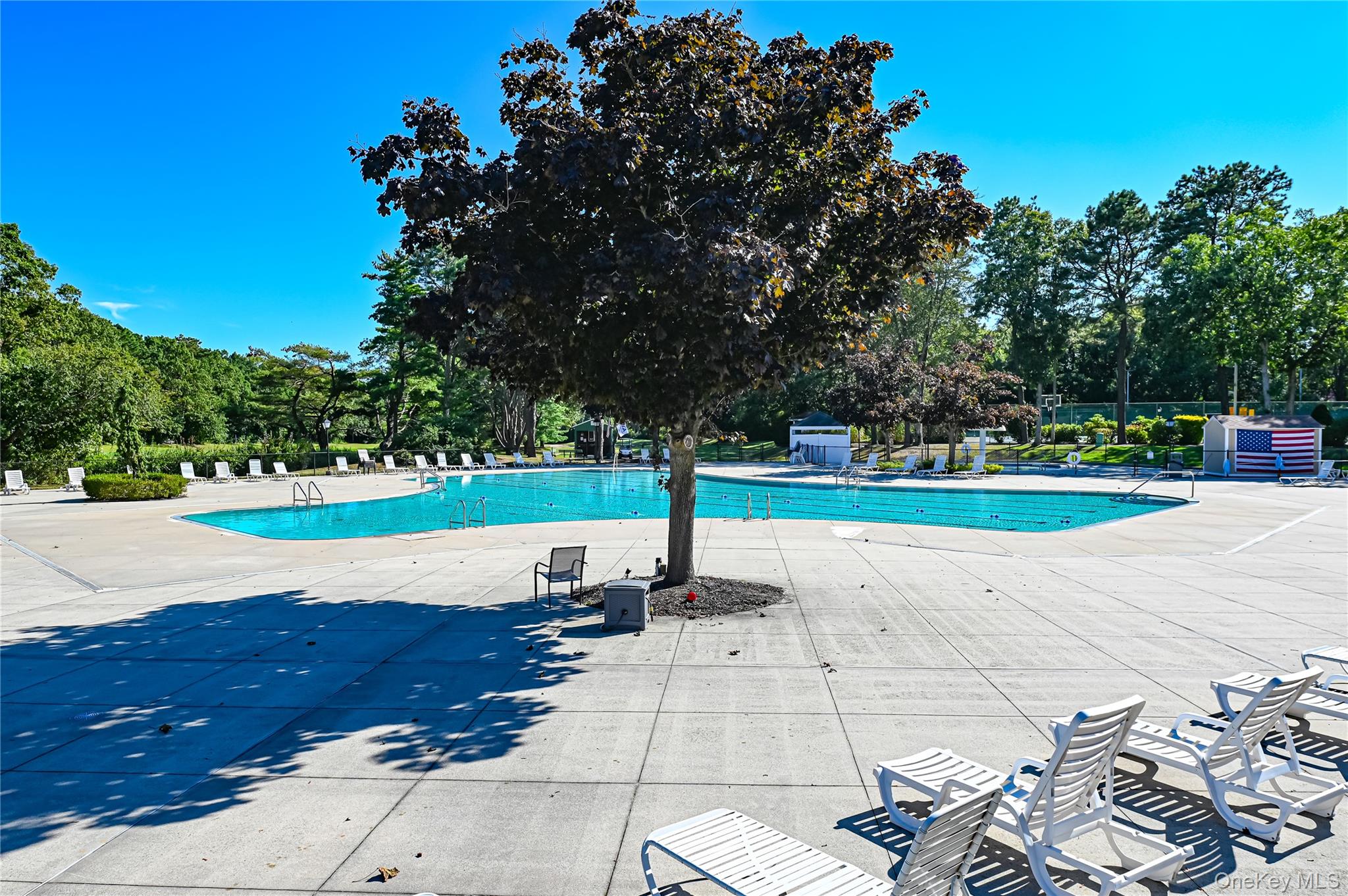 673 Blue Ridge Drive, Medford, NY 11763