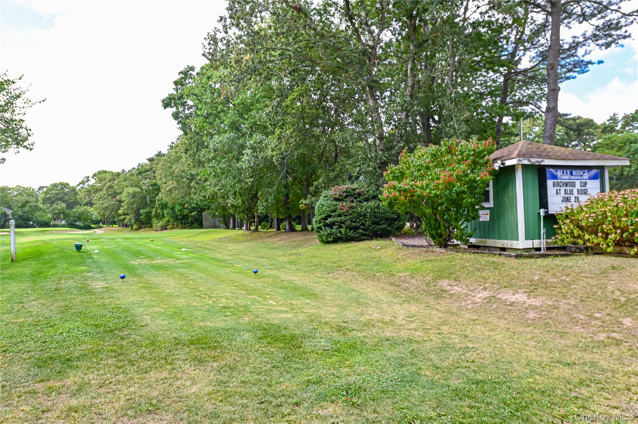 673 Blue Ridge Drive, Medford, NY 11763