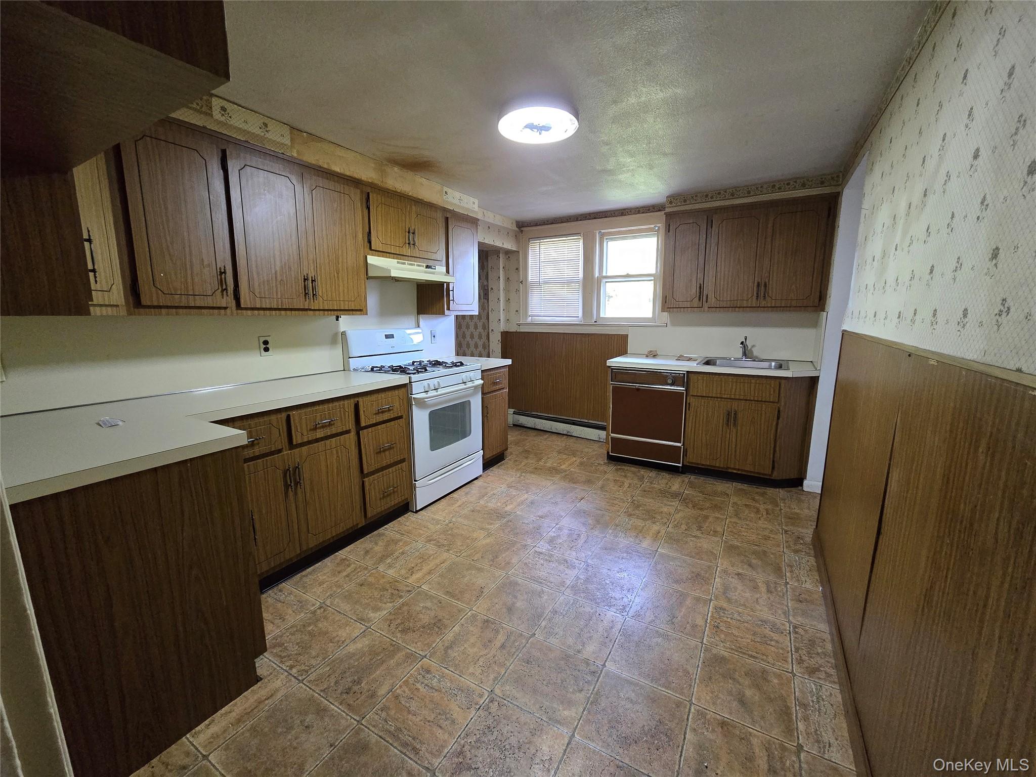 229 Rushmore Avenue, Carle Place, NY 11514