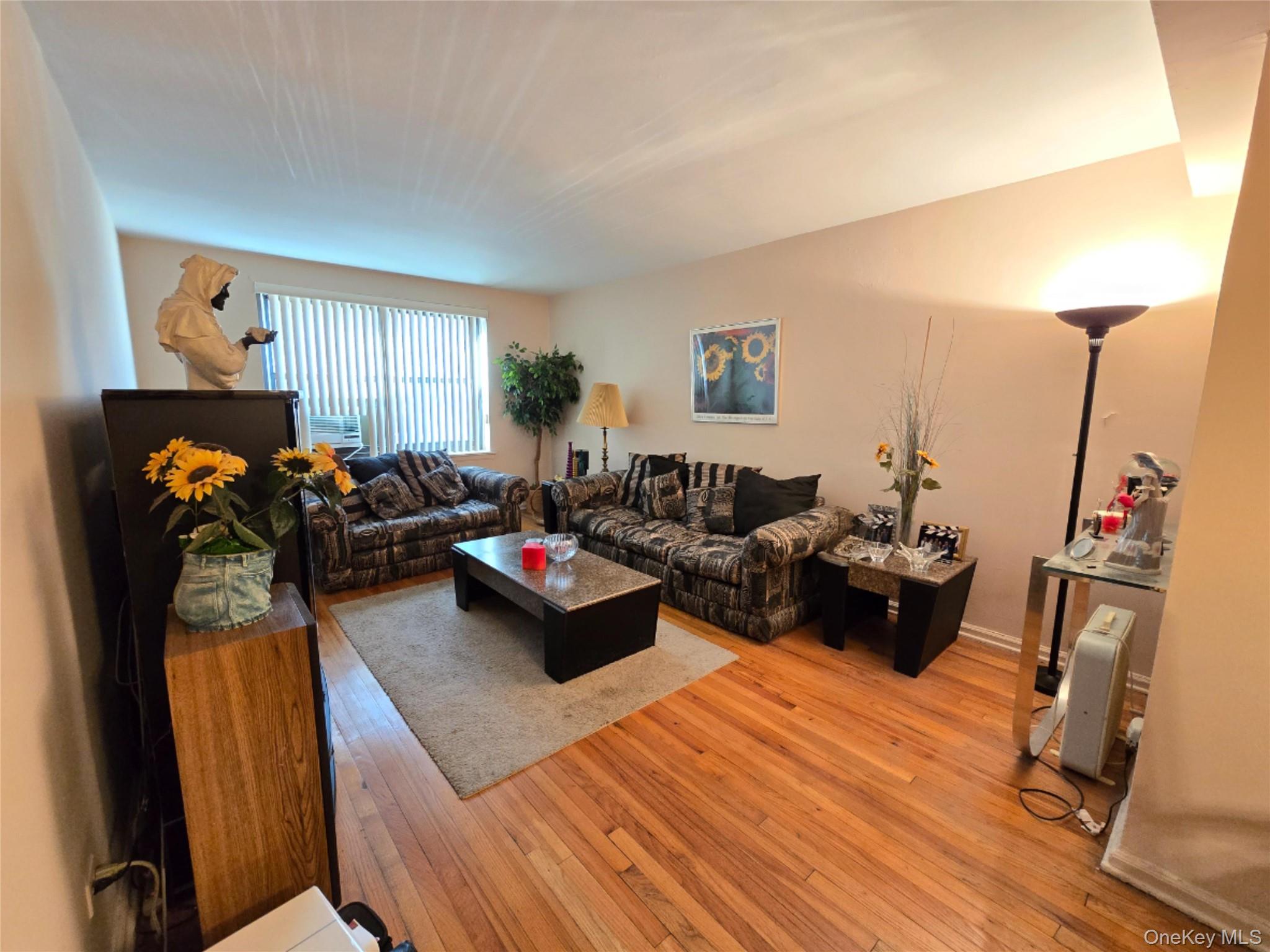 229 Rushmore Avenue, Carle Place, NY 11514