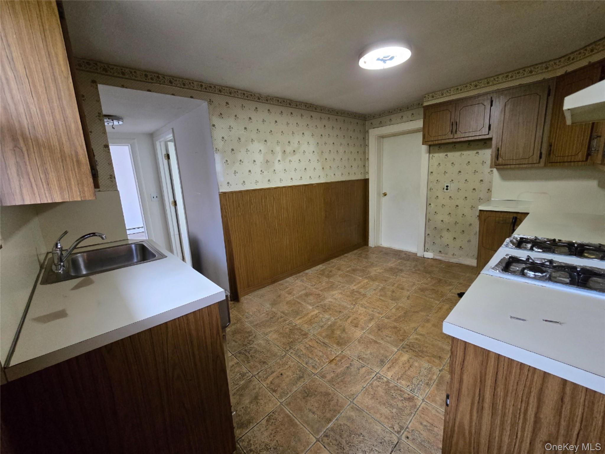 229 Rushmore Avenue, Carle Place, NY 11514