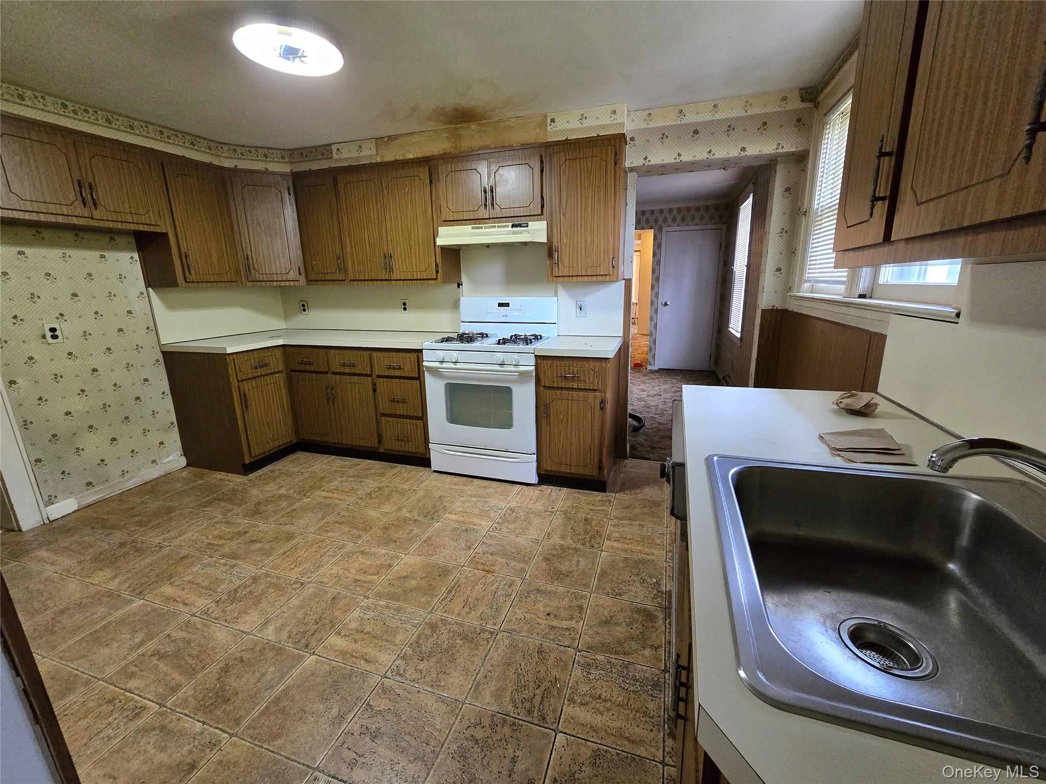 229 Rushmore Avenue, Carle Place, NY 11514