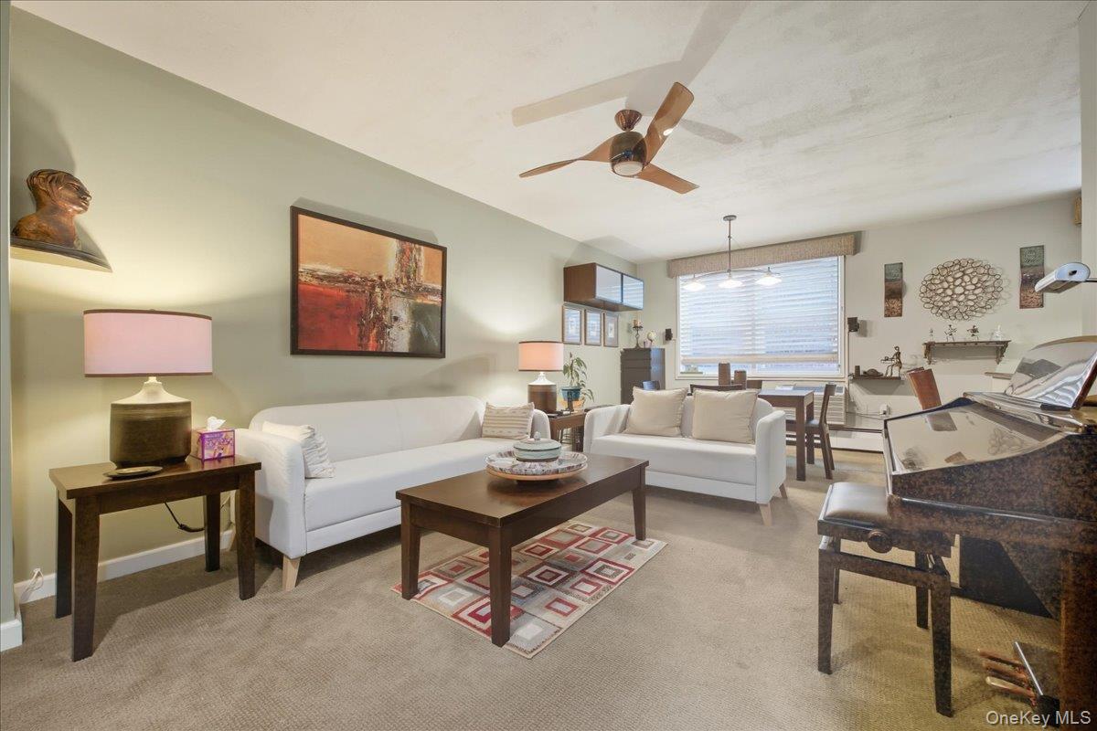 290 Atlantic Avenue # 245, East Rockaway, NY 11518