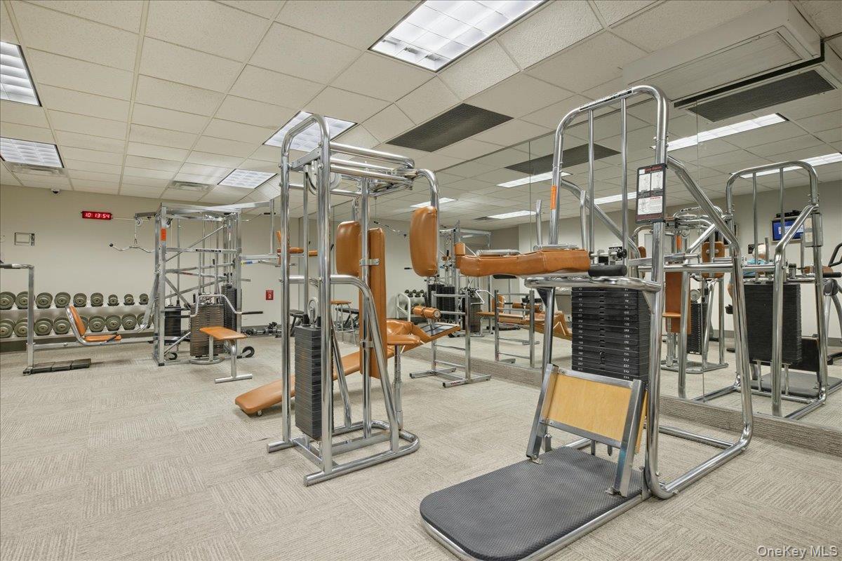 290 Atlantic Avenue # 245, East Rockaway, NY 11518