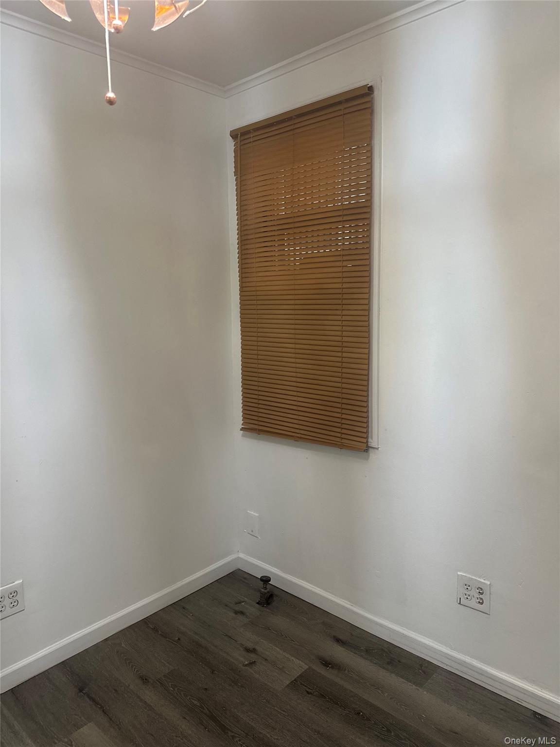 89-50 87 Street # Suite B, Woodhaven, NY 11421