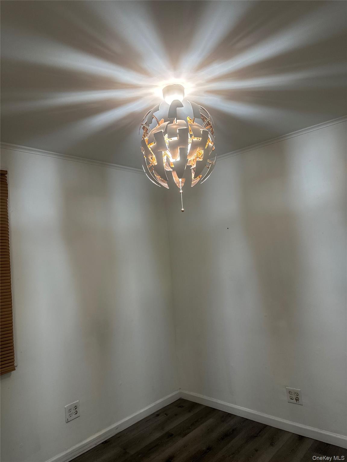 89-50 87 Street # Suite B, Woodhaven, NY 11421