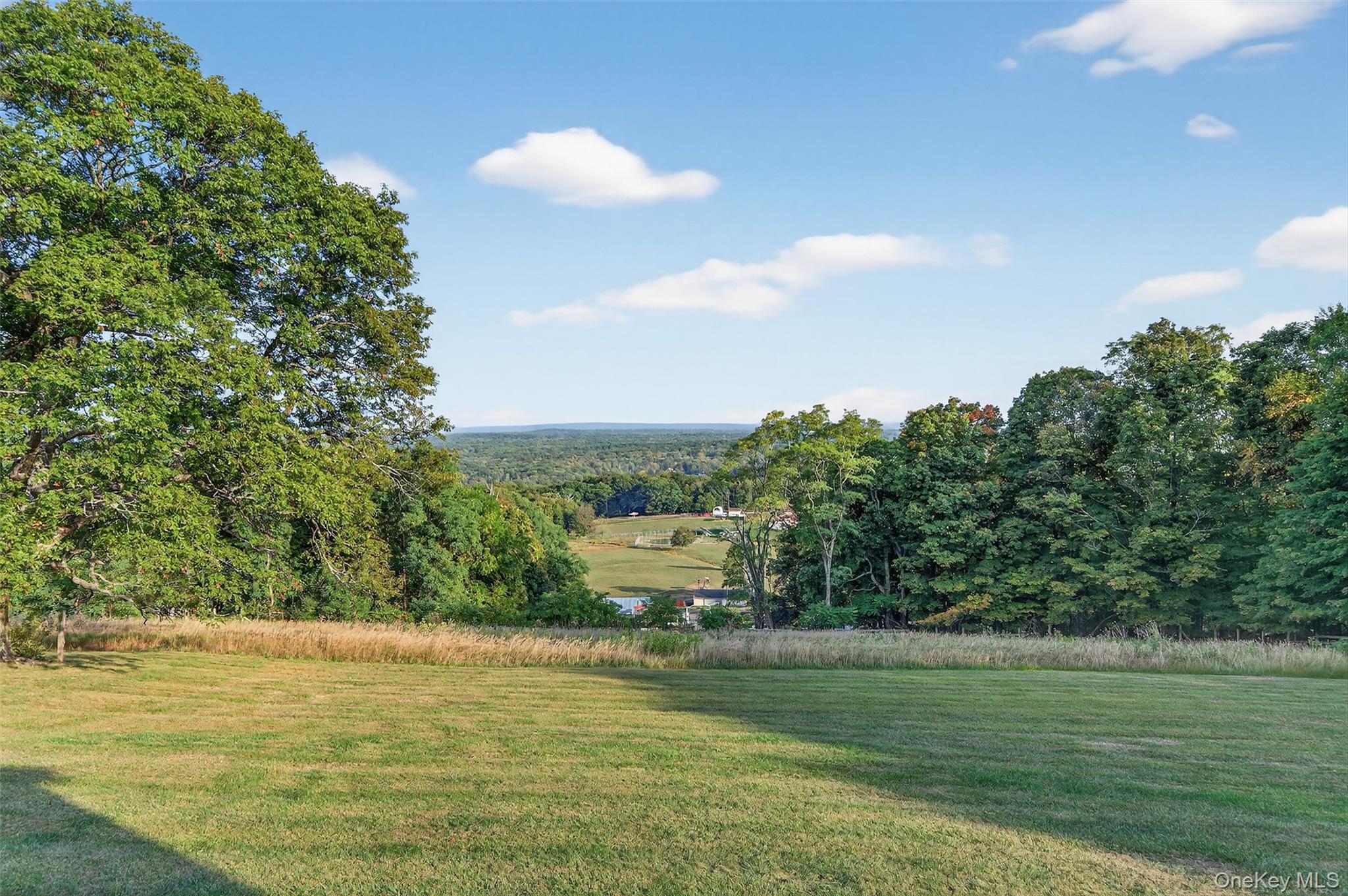 4 Rachel court, Bloomingburg, NY 12721