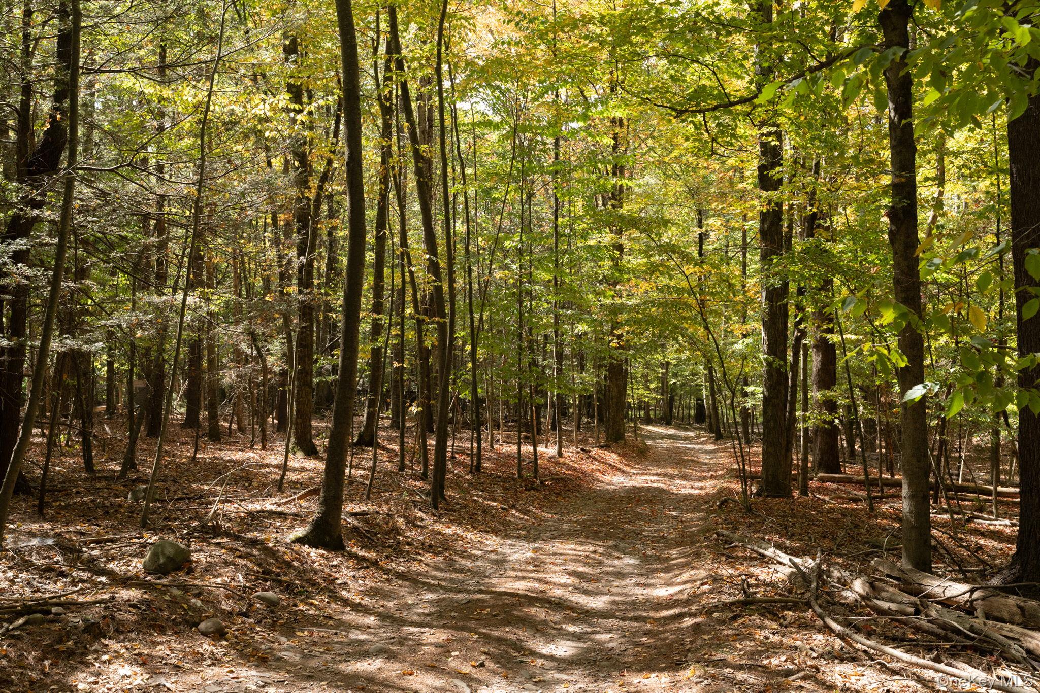 36 Cross Patch Road, Willow, NY 12495