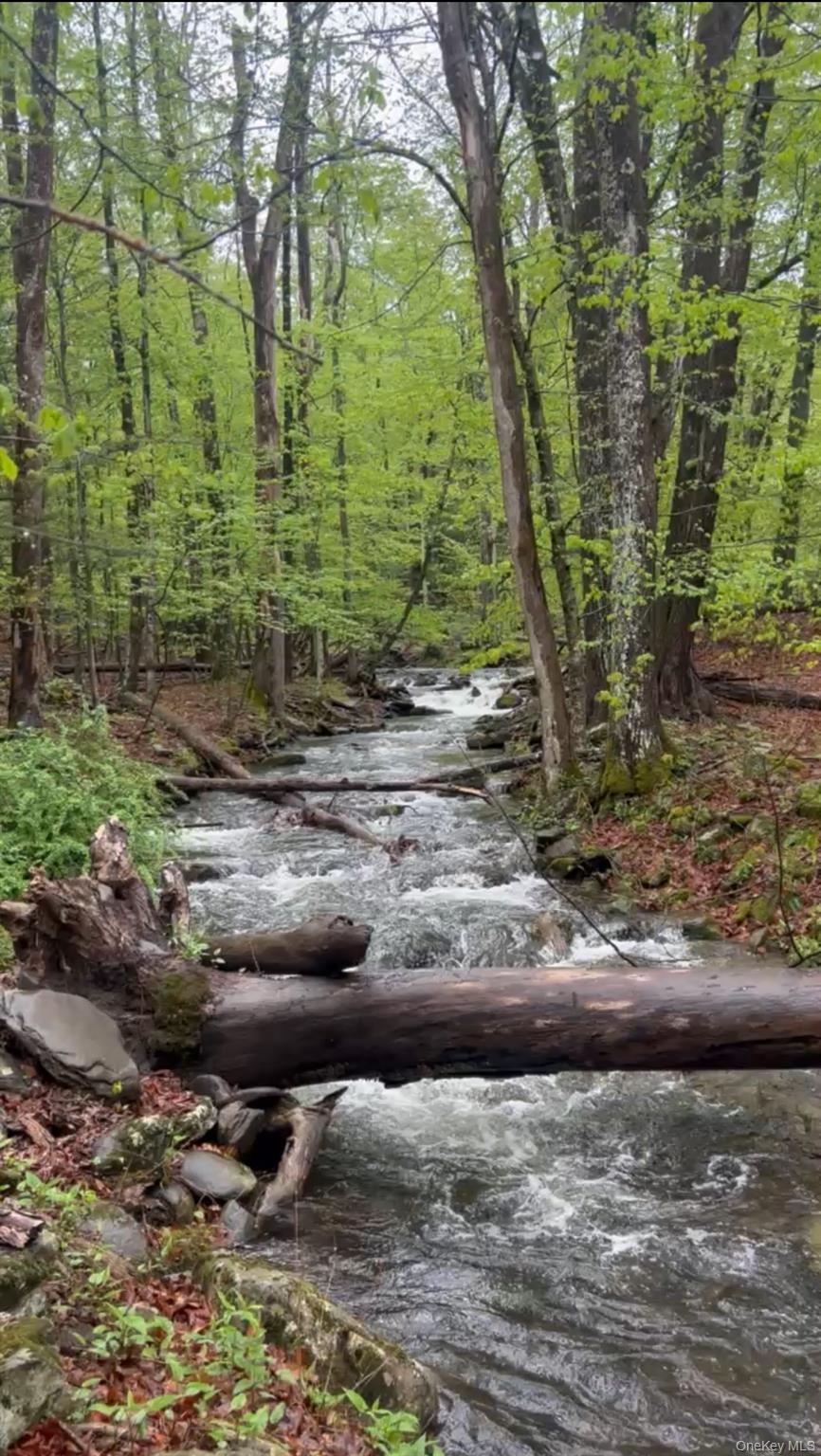 36 Cross Patch Road, Willow, NY 12495