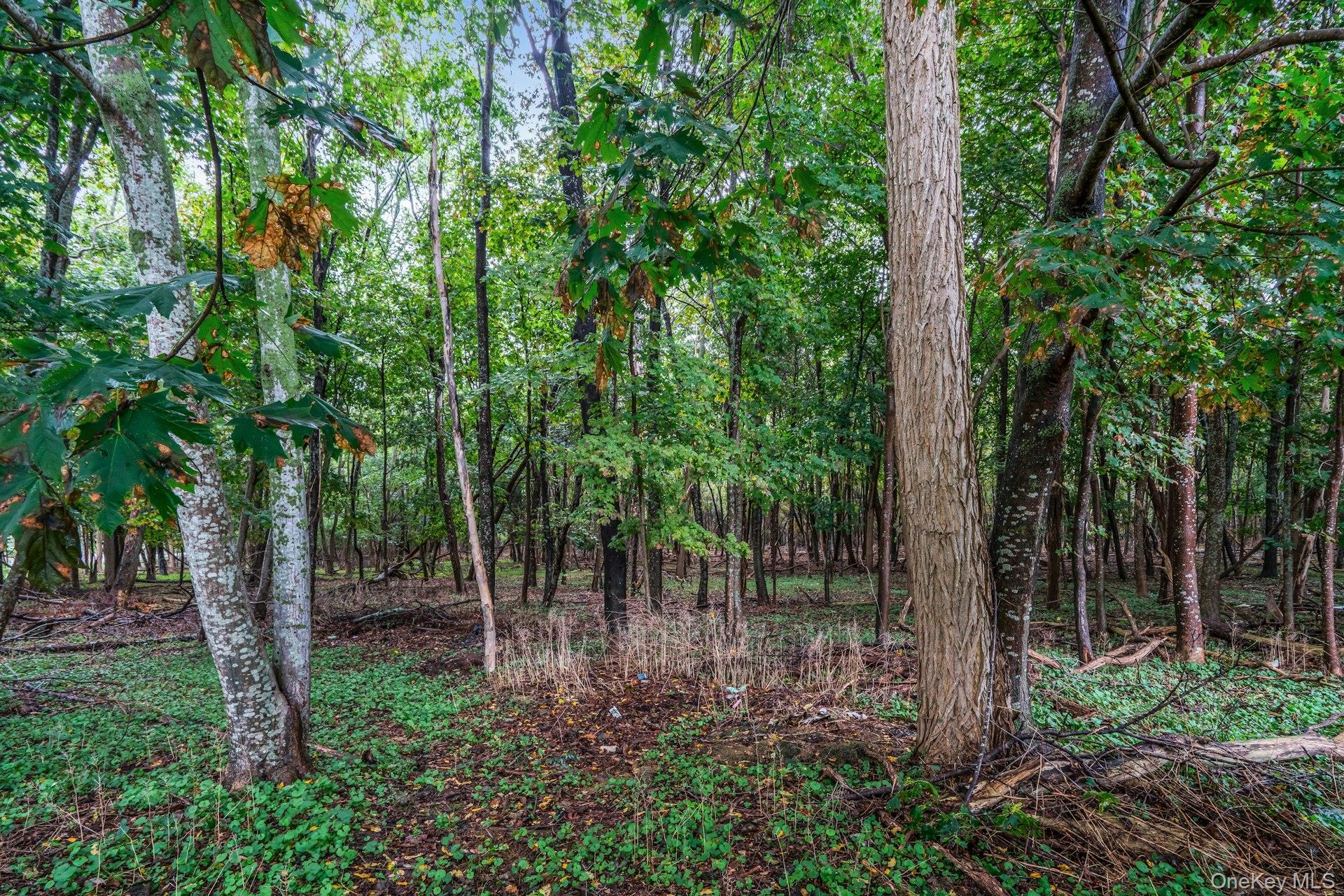 9450 Old Sound Avenue, Mattituck, NY 11952