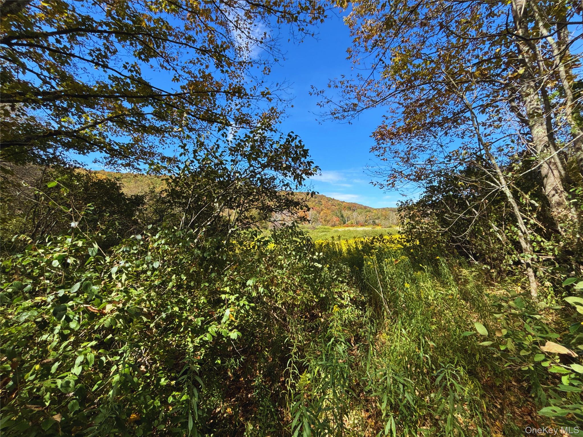 995 Betty Brook Road, Call Listing Agent, NY 13842