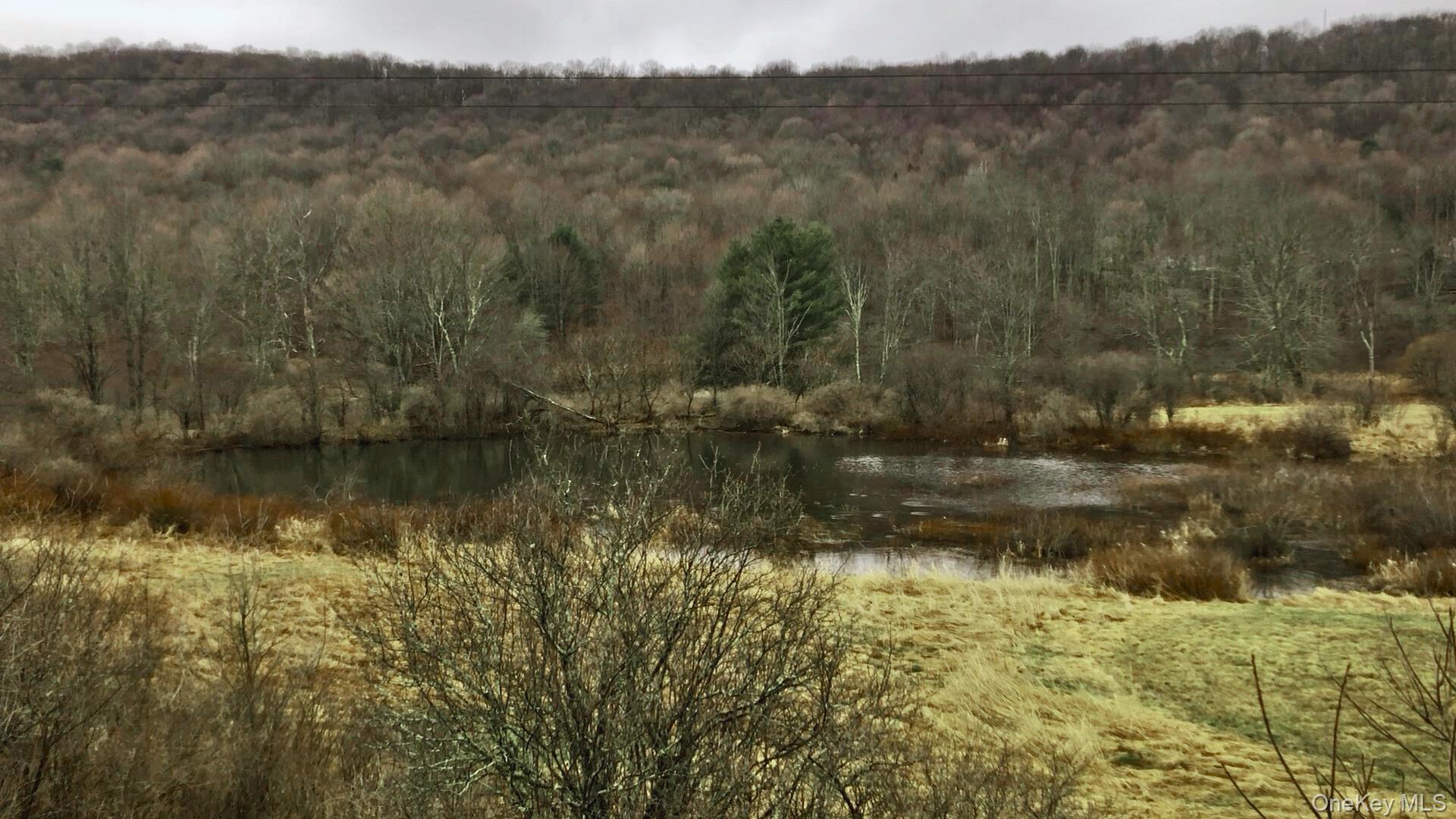 995 Betty Brook Road, Call Listing Agent, NY 13842