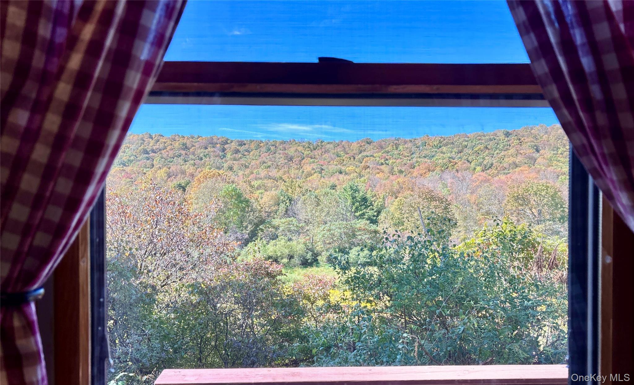 995 Betty Brook Road, Call Listing Agent, NY 13842