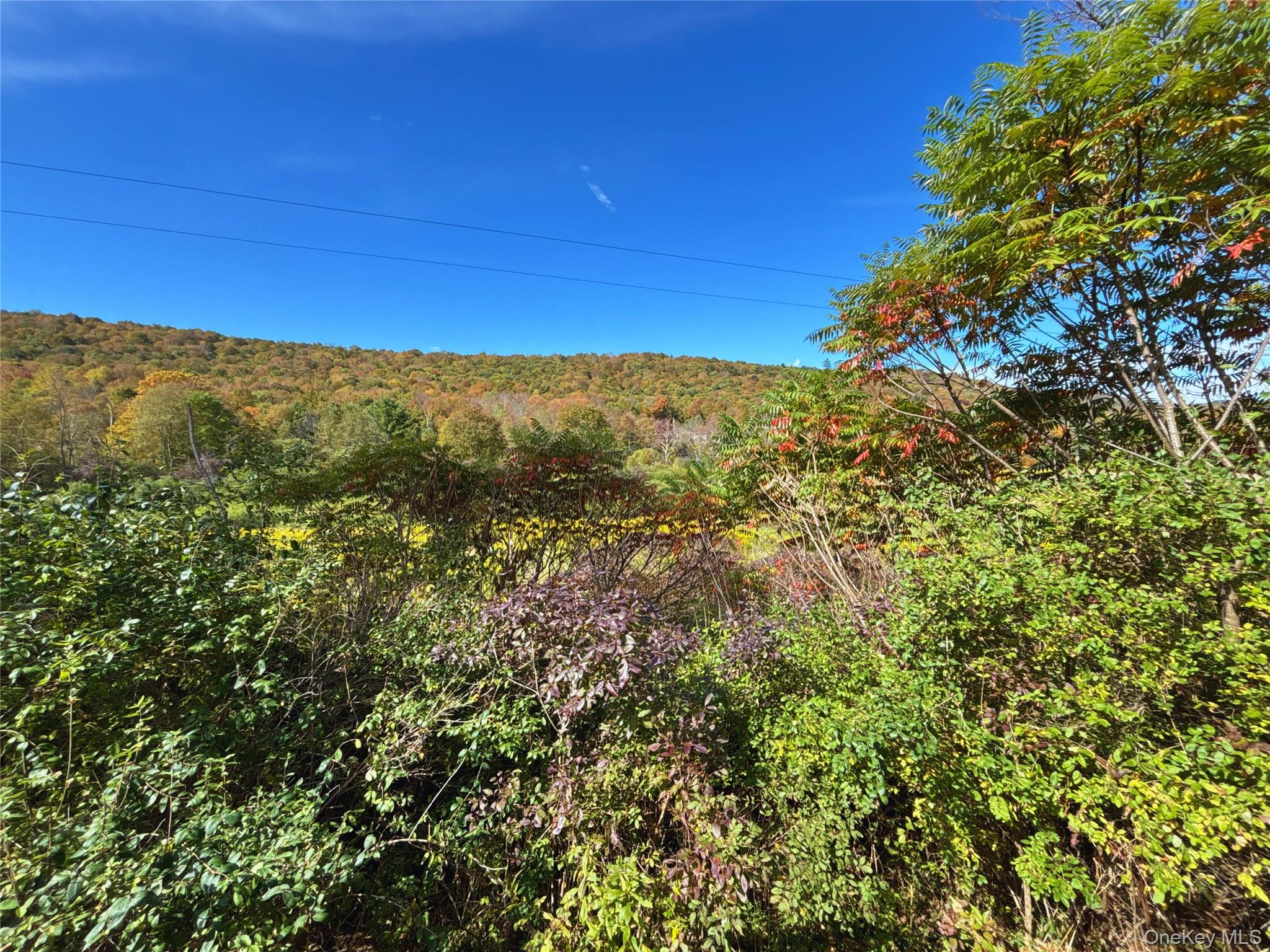 995 Betty Brook Road, Call Listing Agent, NY 13842