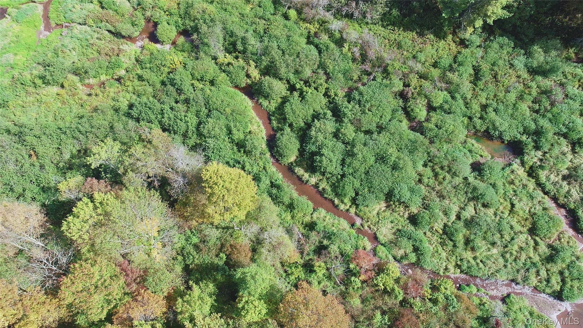 995 Betty Brook Road, Call Listing Agent, NY 13842