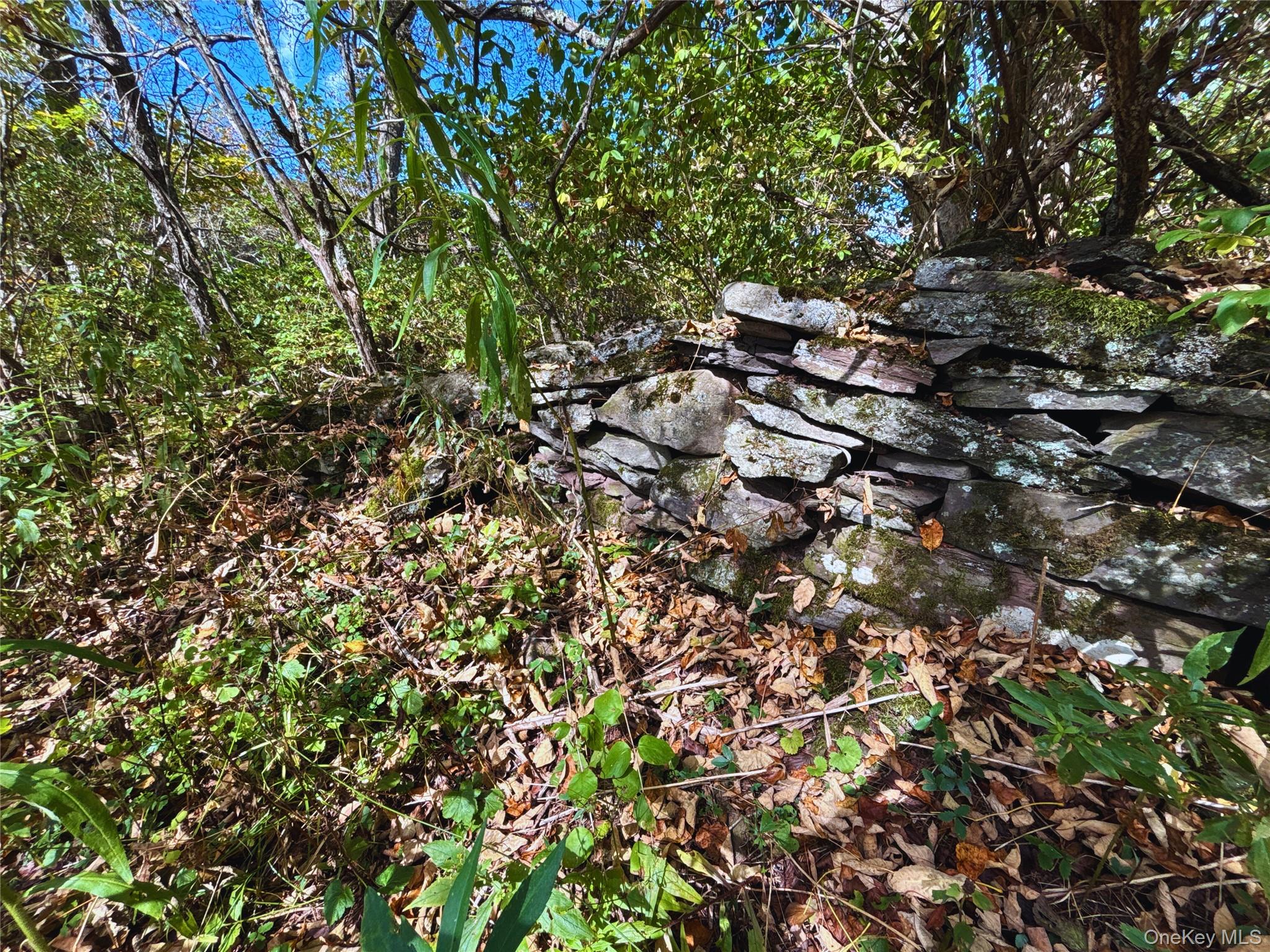 995 Betty Brook Road, Call Listing Agent, NY 13842