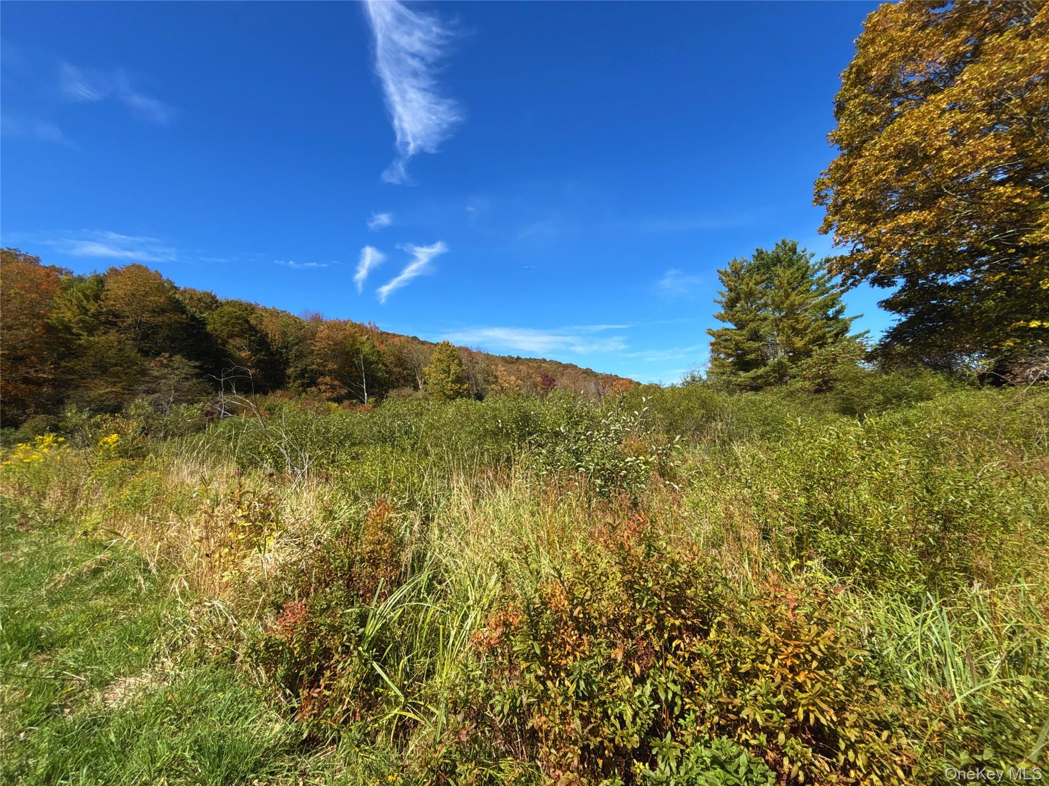 995 Betty Brook Road, Call Listing Agent, NY 13842