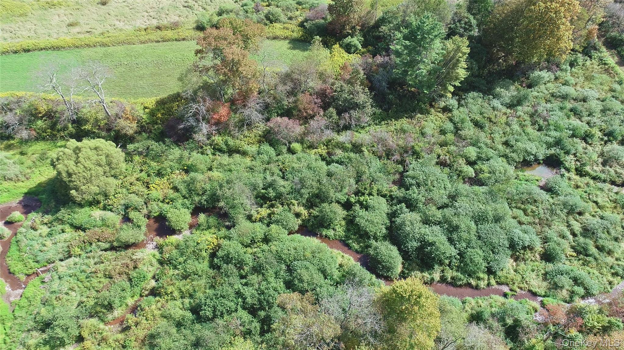 995 Betty Brook Road, Call Listing Agent, NY 13842