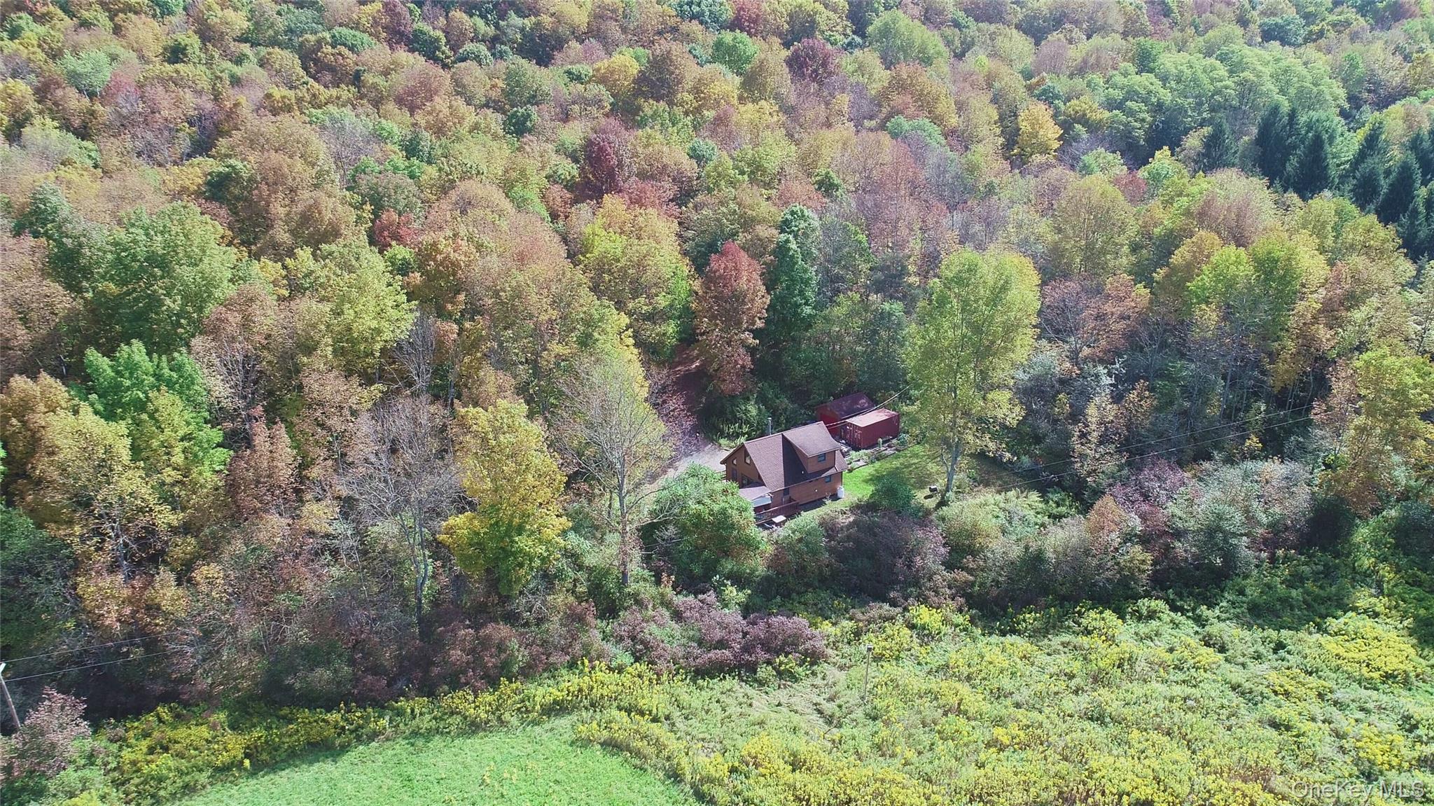 995 Betty Brook Road, Call Listing Agent, NY 13842