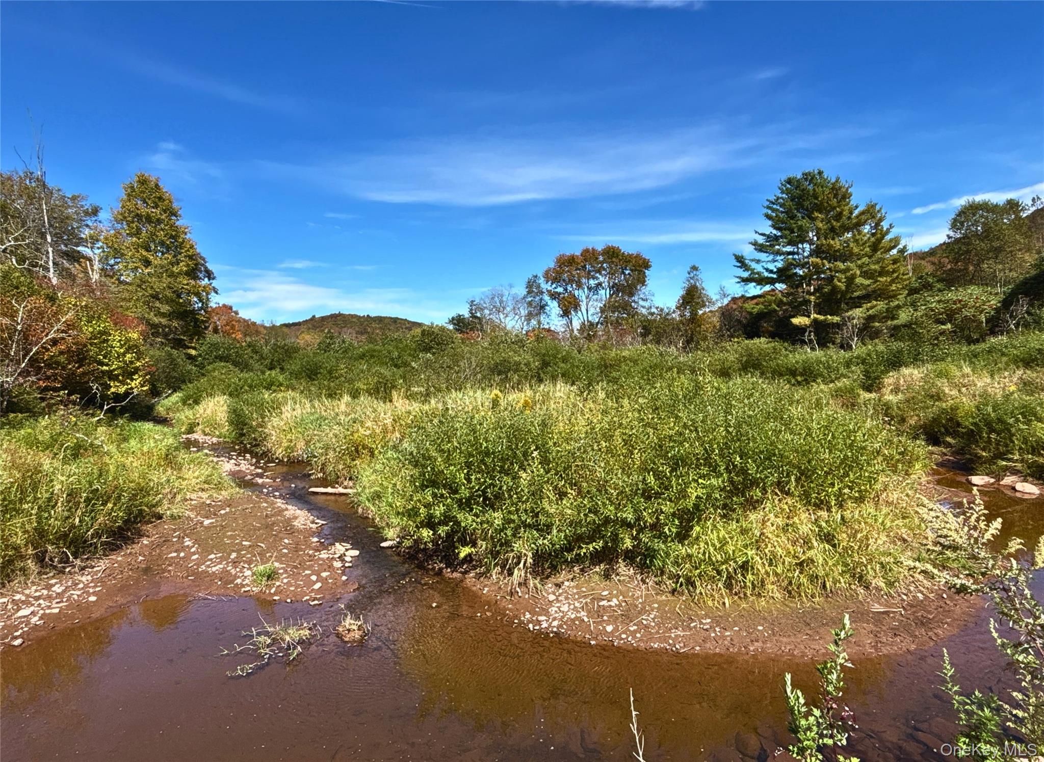 995 Betty Brook Road, Call Listing Agent, NY 13842