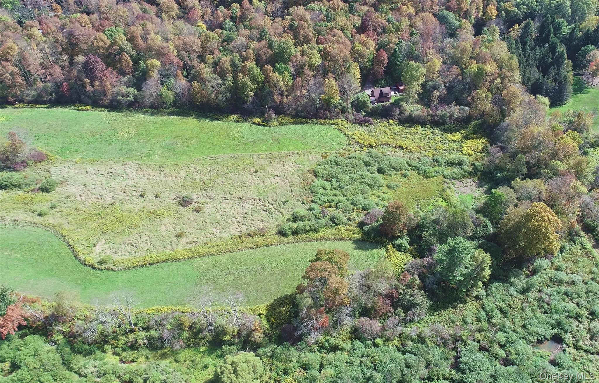 995 Betty Brook Road, Call Listing Agent, NY 13842