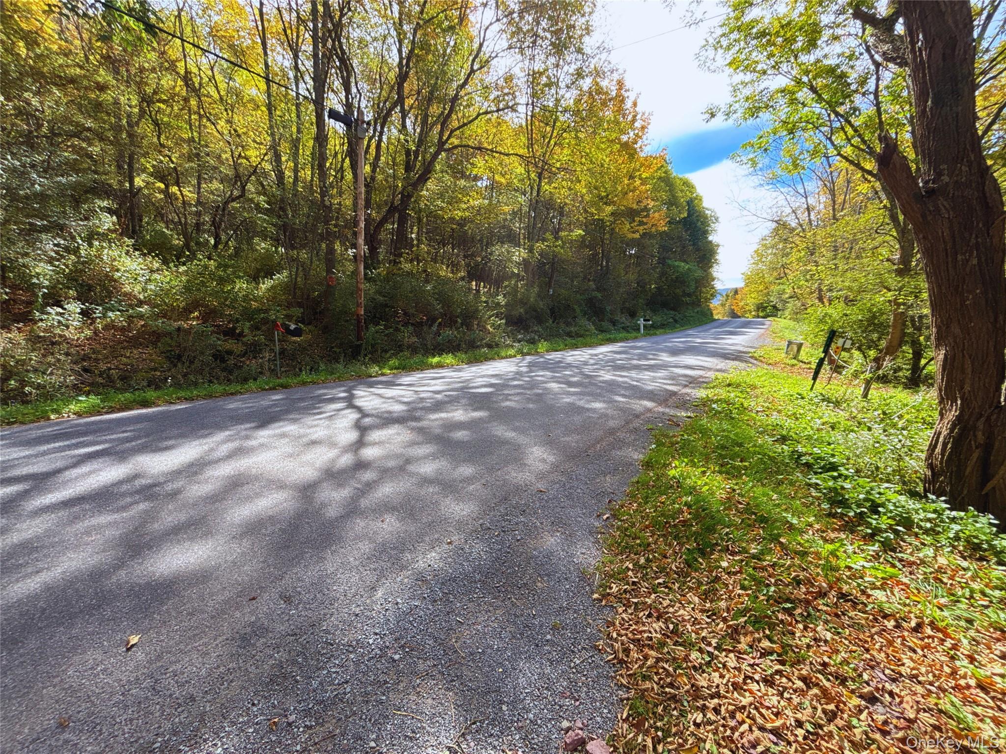 995 Betty Brook Road, Call Listing Agent, NY 13842