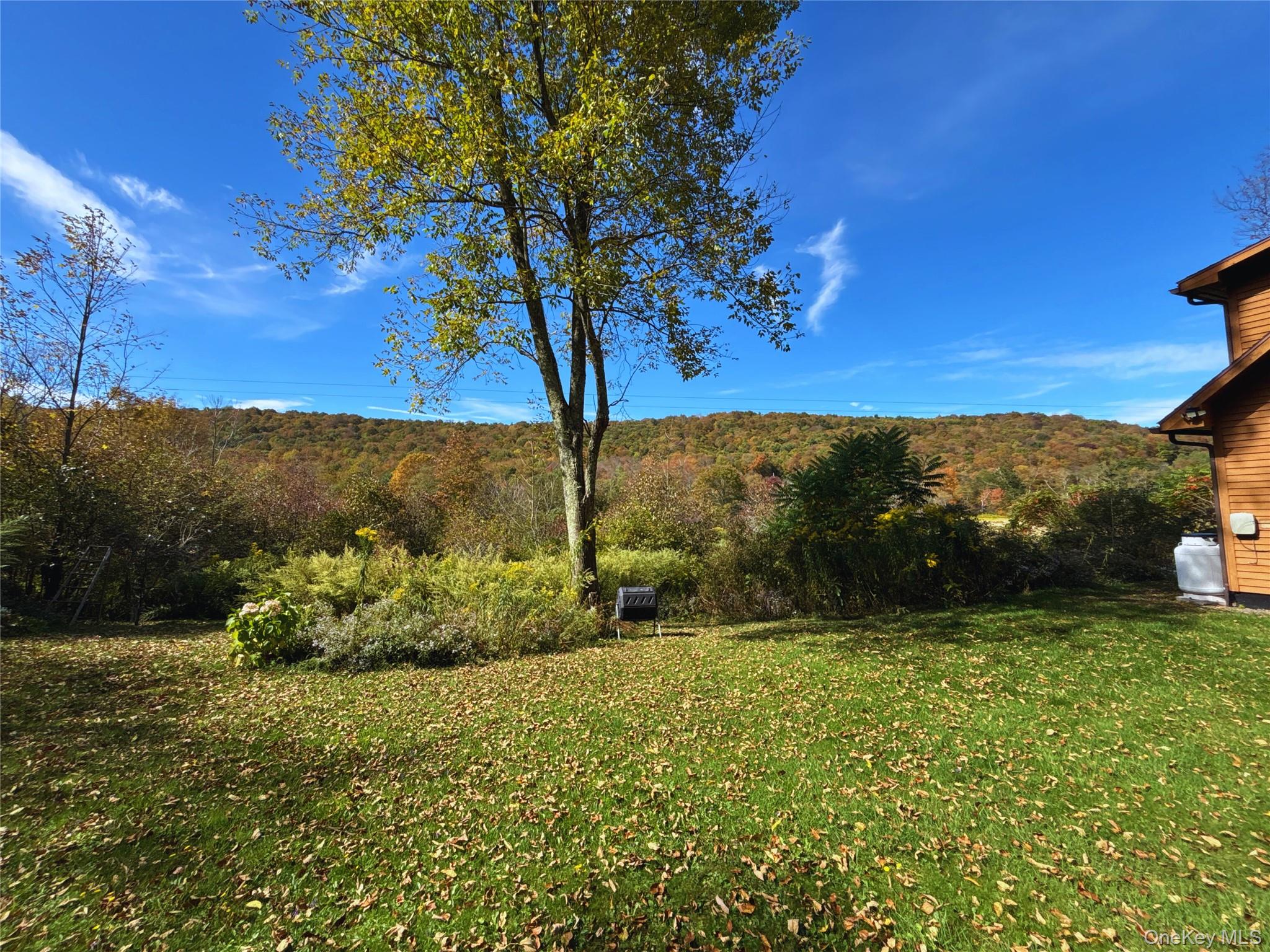 995 Betty Brook Road, Call Listing Agent, NY 13842