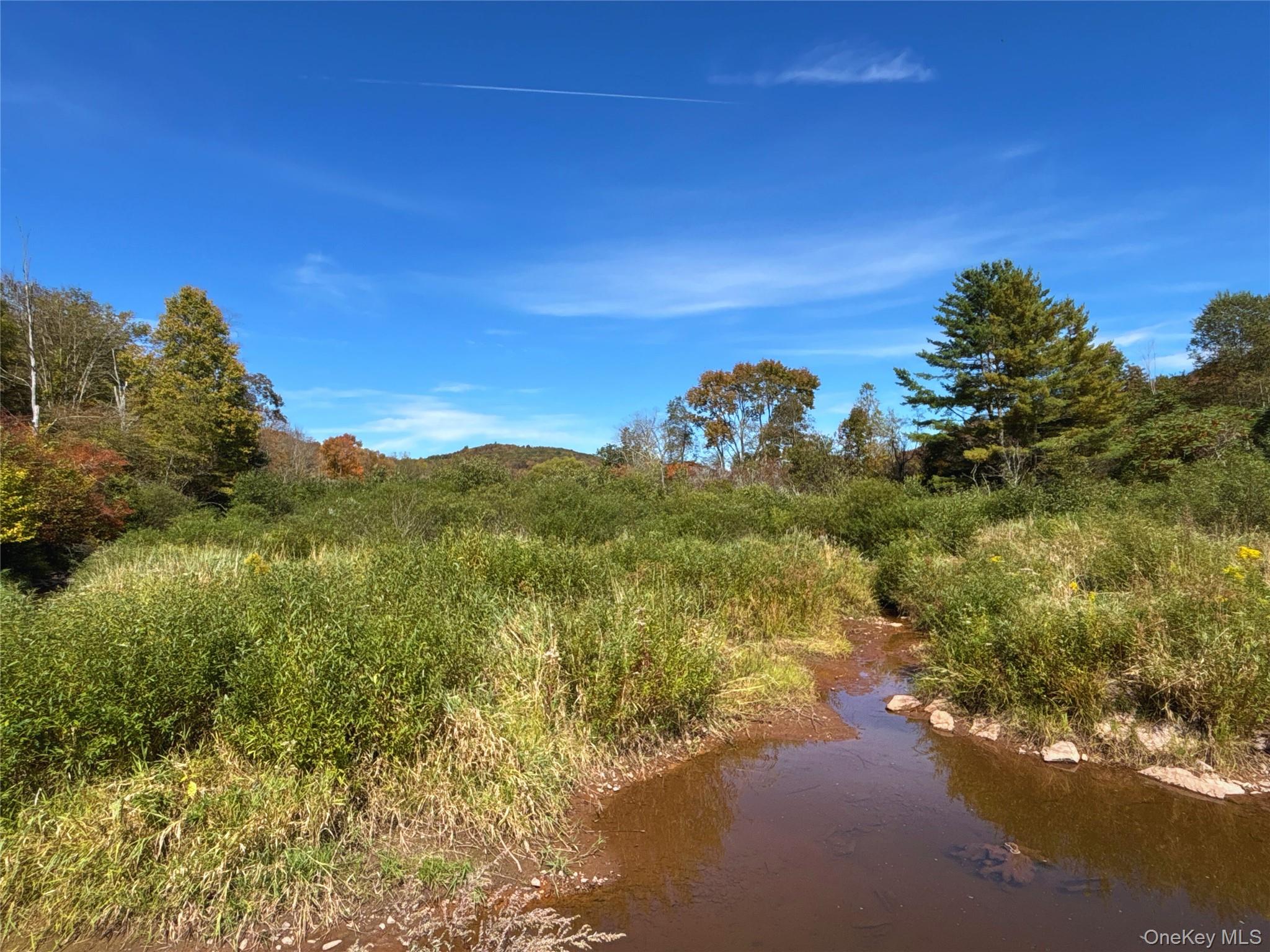 995 Betty Brook Road, Call Listing Agent, NY 13842