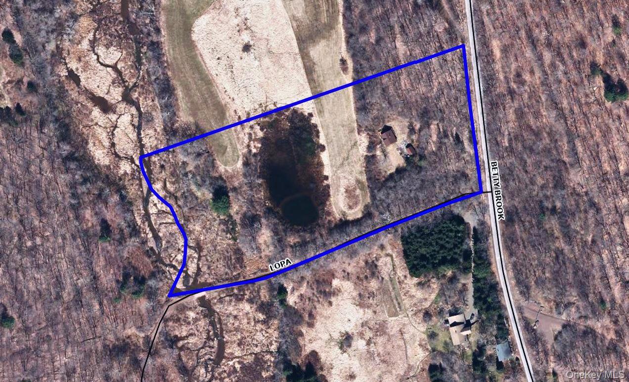 995 Betty Brook Road, Call Listing Agent, NY 13842