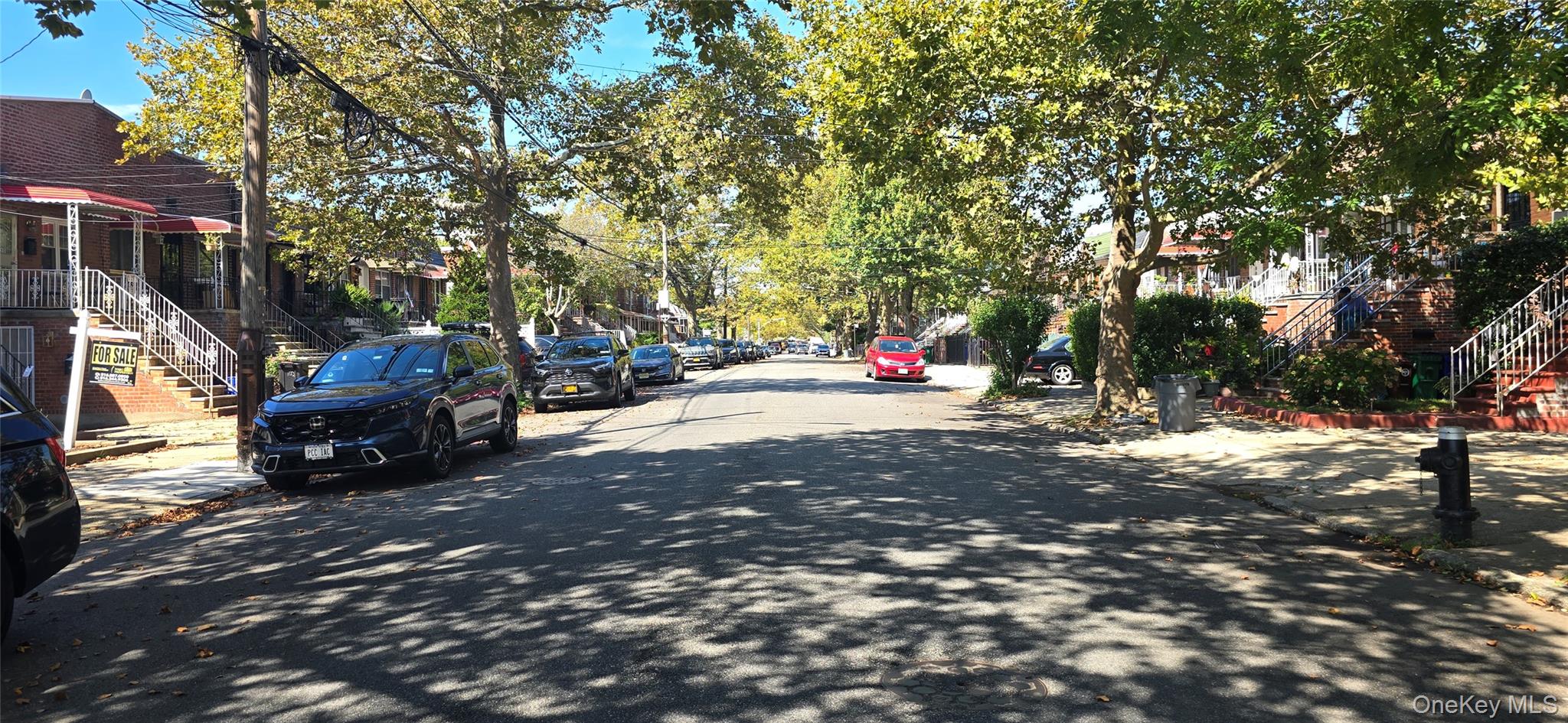 1161 E 101st Street, Brooklyn, NY 11236