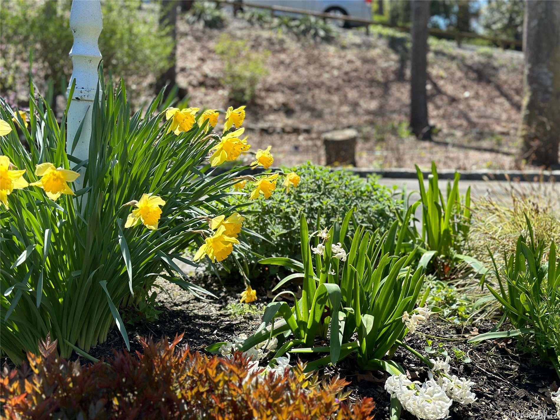 126 Overhill Road, Wading River, NY 11792