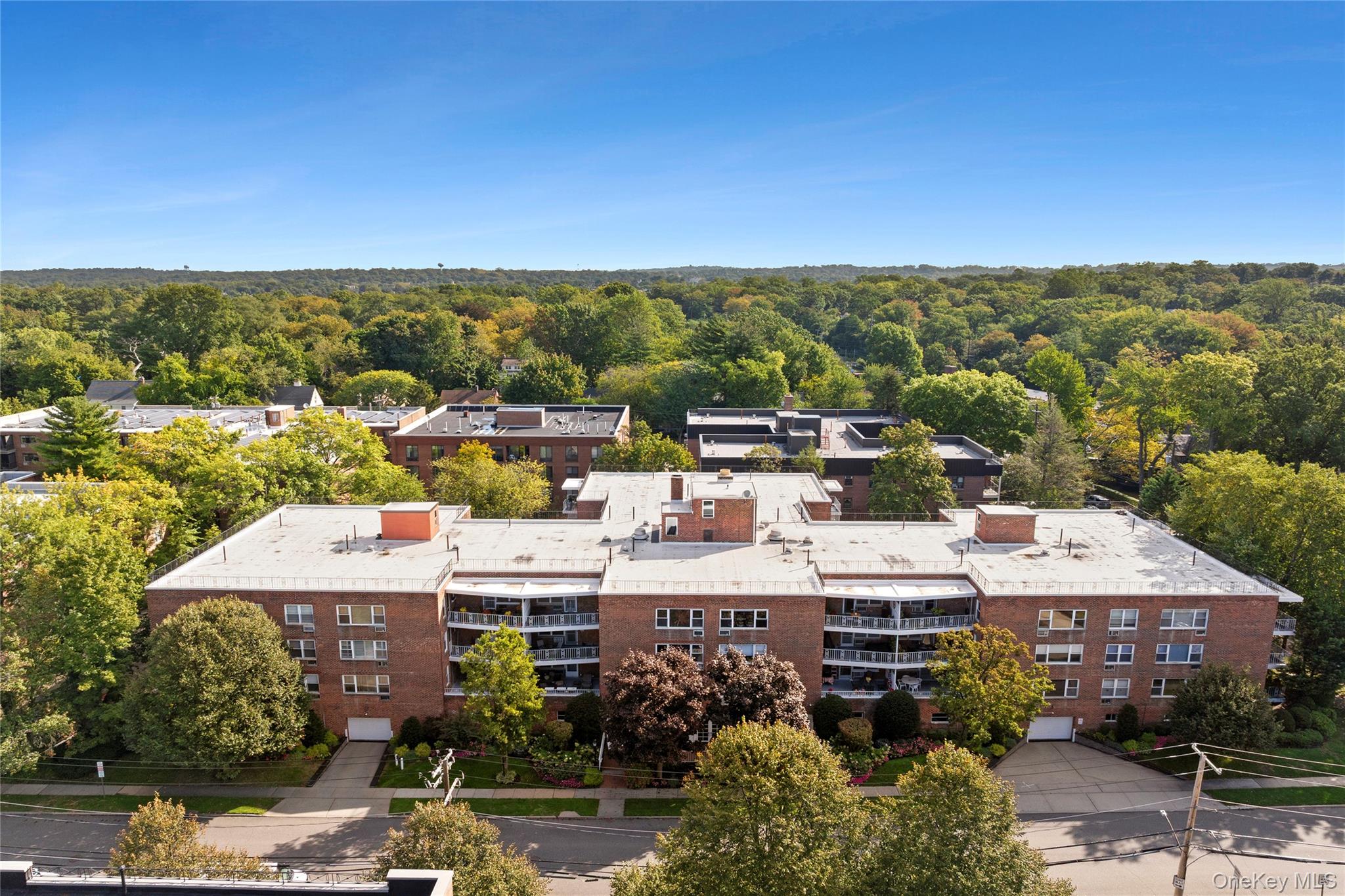 21 Chapel Place # 3M, Great Neck, NY 11021